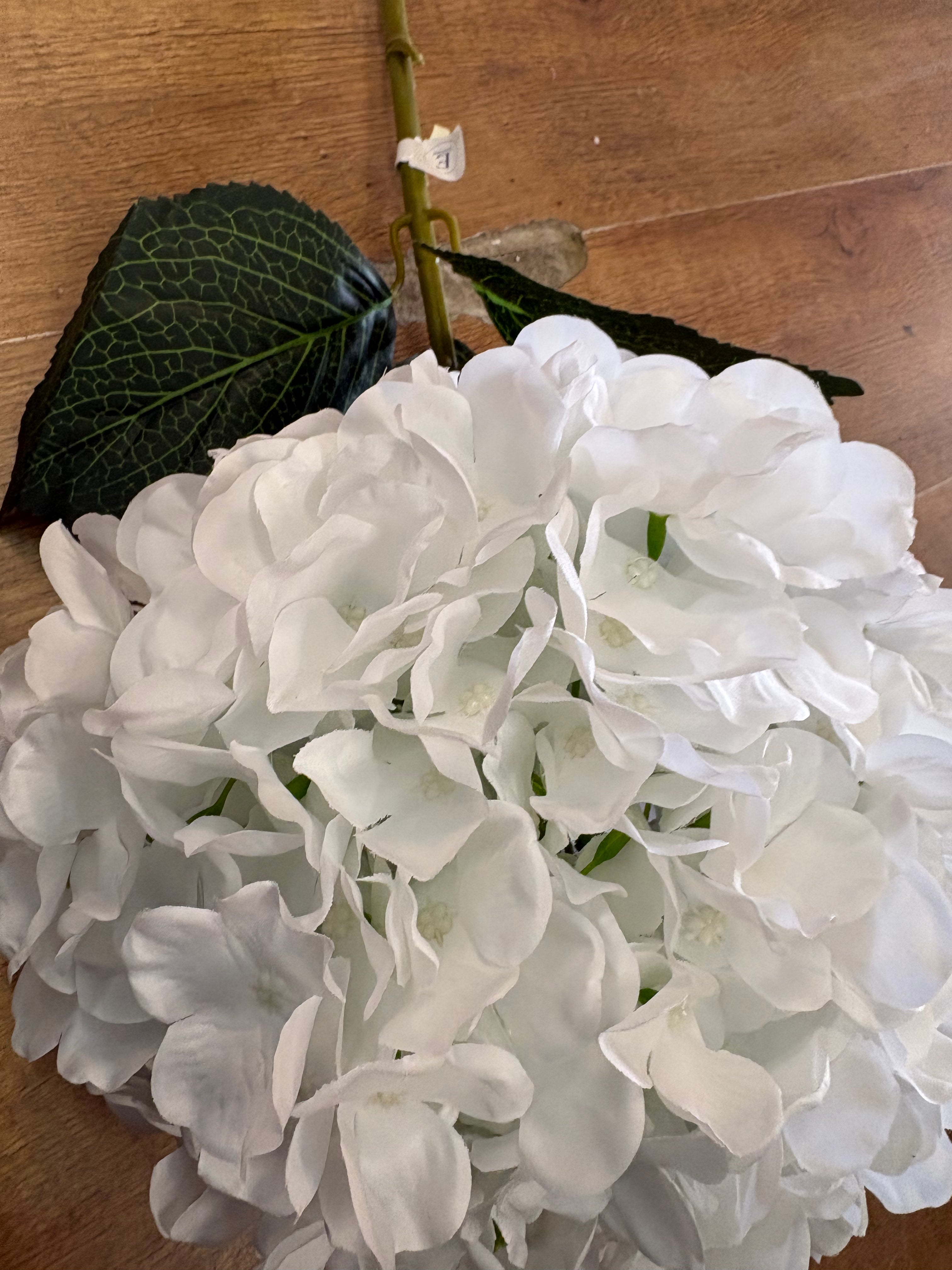 Giant head white premium hydrangea
