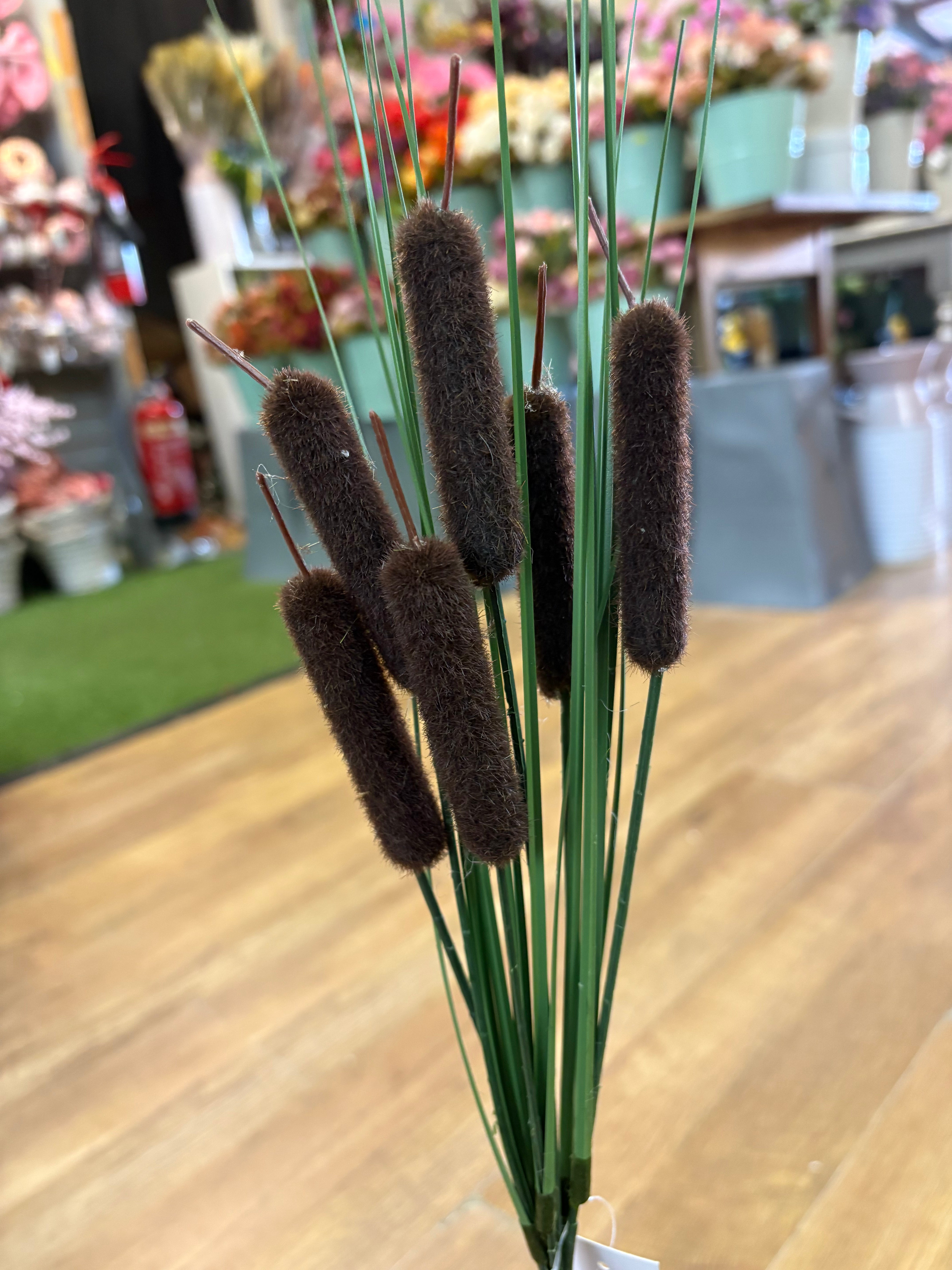 Bullrush - 6 colours available