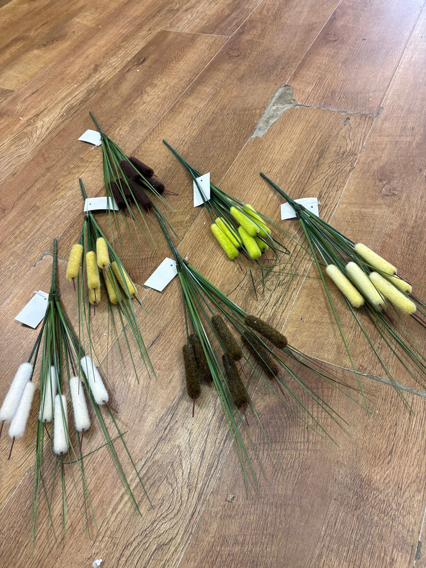 Bullrush - 6 colours available