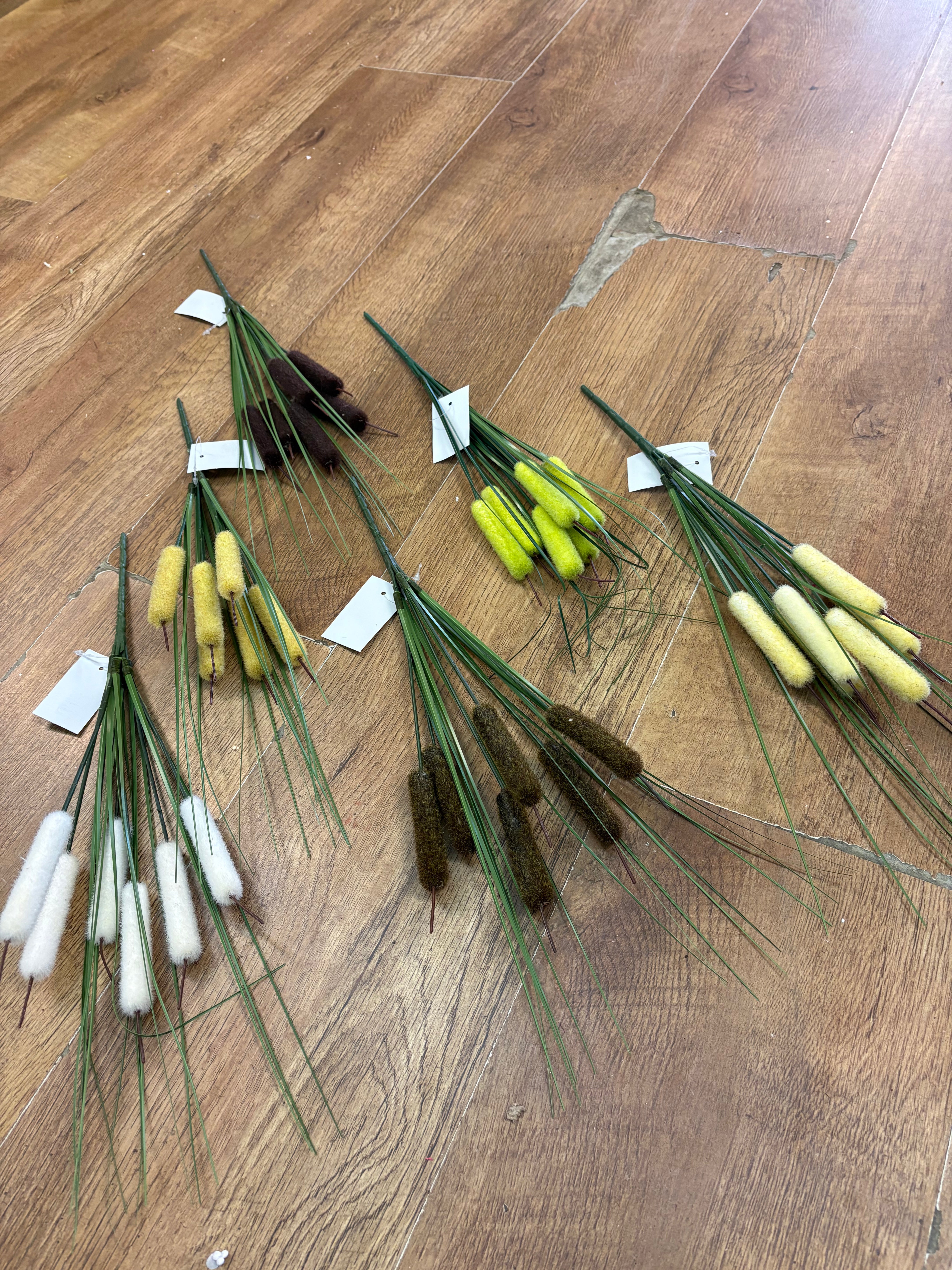 Bullrush - 6 colours available