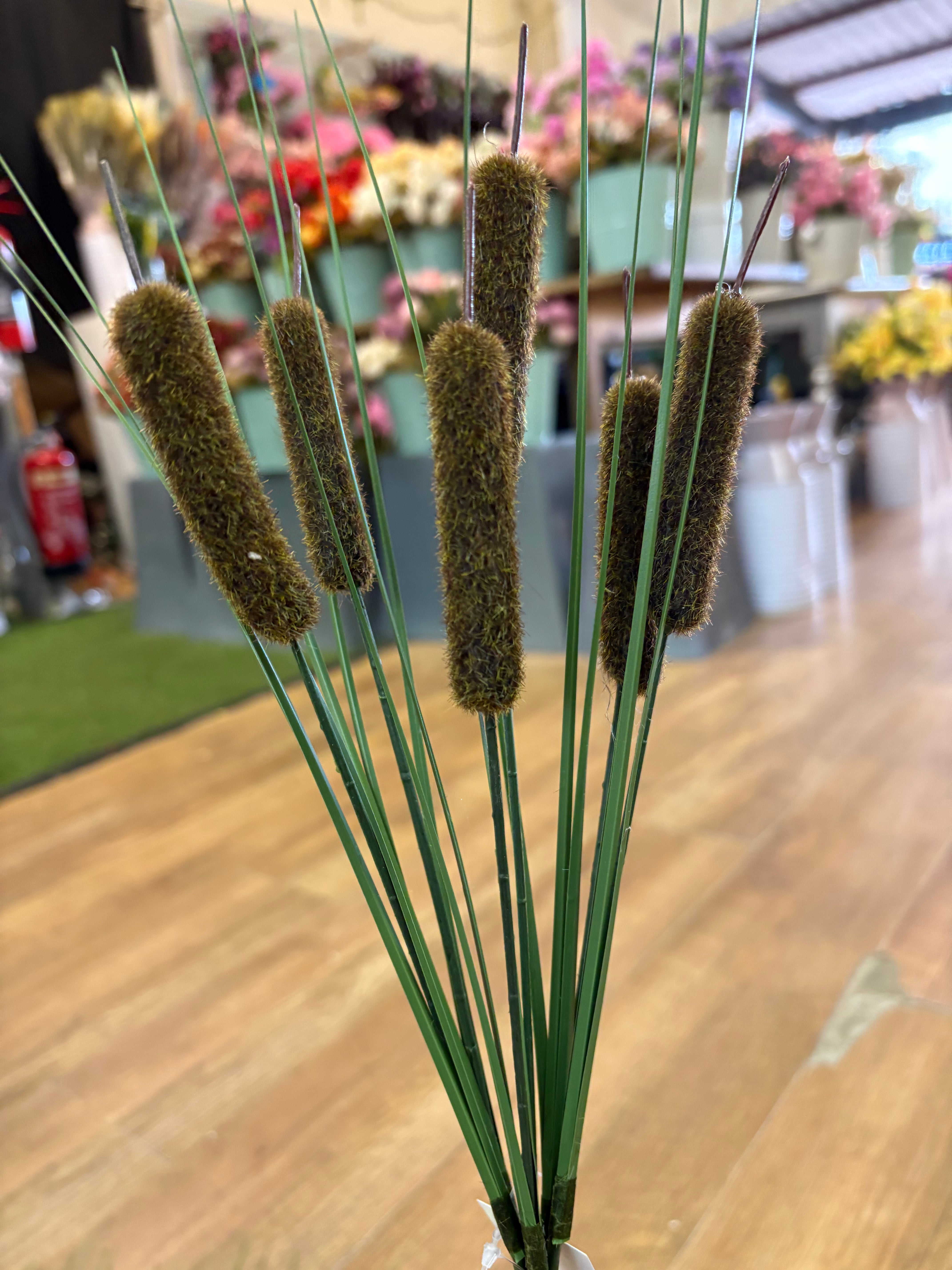 Bullrush - 6 colours available