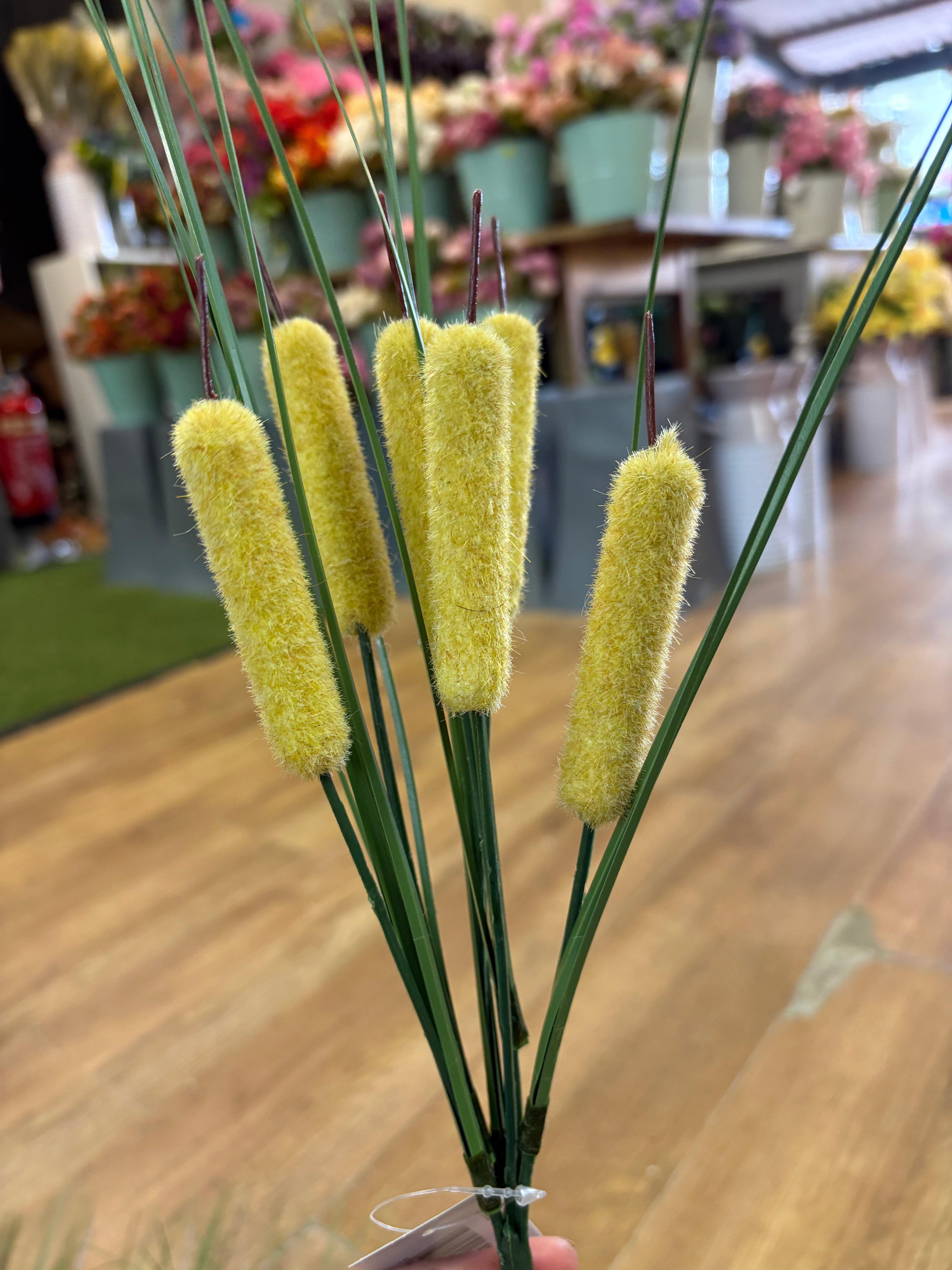 Bullrush - 6 colours available