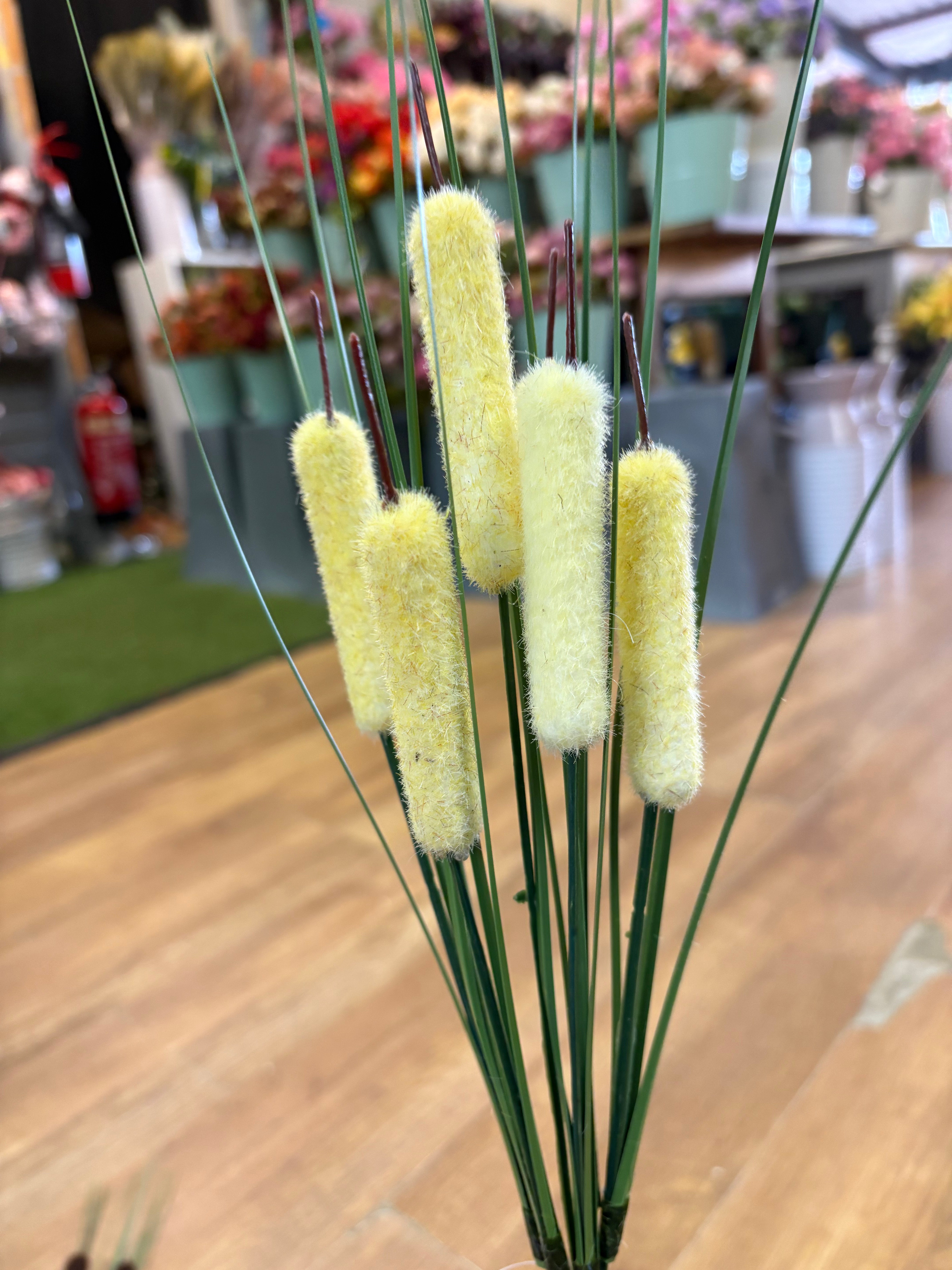 Bullrush - 6 colours available