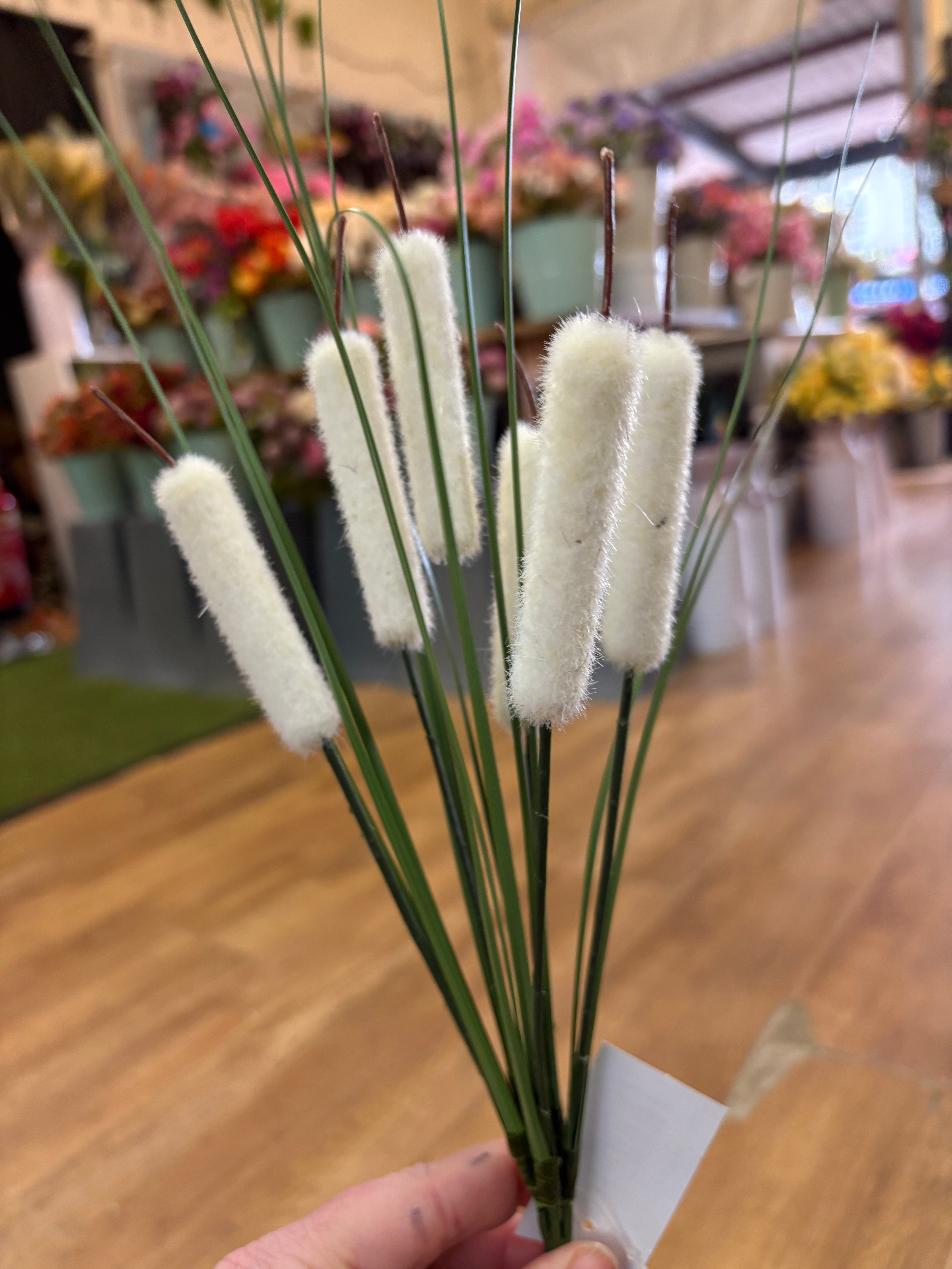 Bullrush - 6 colours available