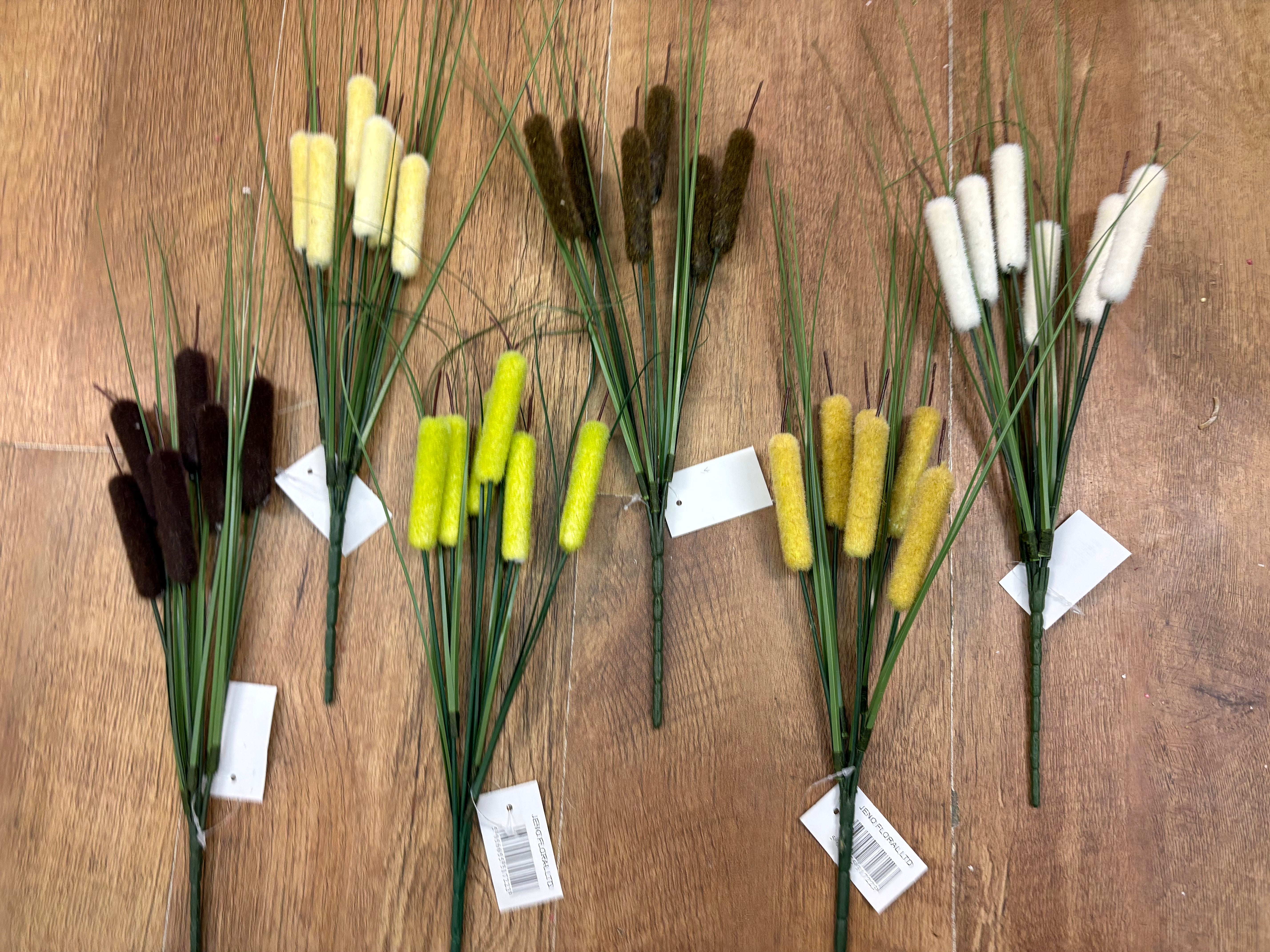 Bullrush - 6 colours available