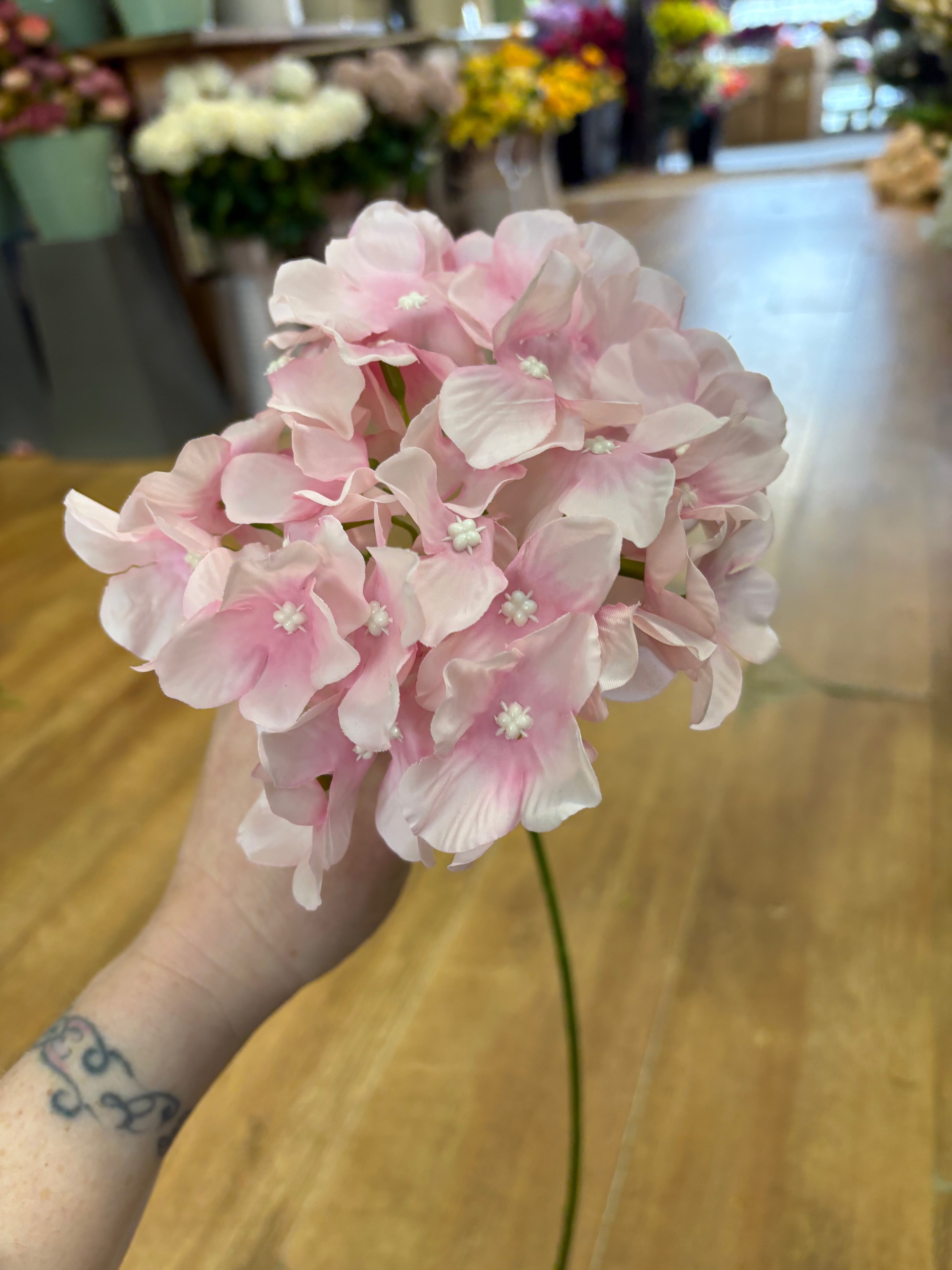 Long stem pale pink hydrangea