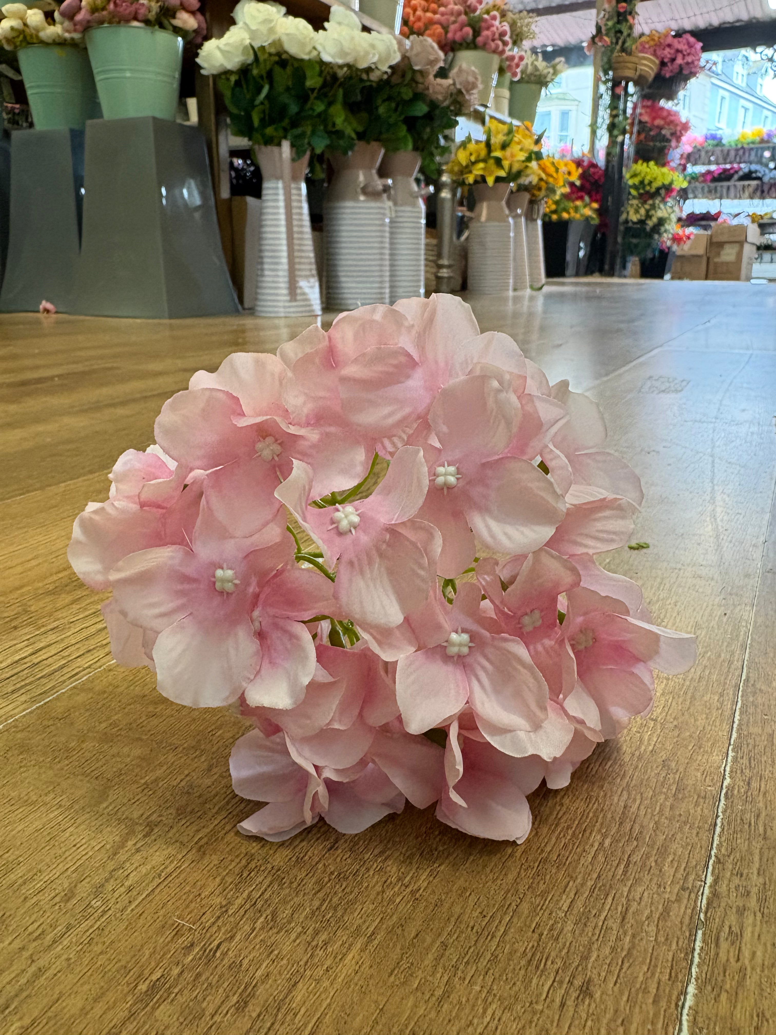 Long stem pale pink hydrangea