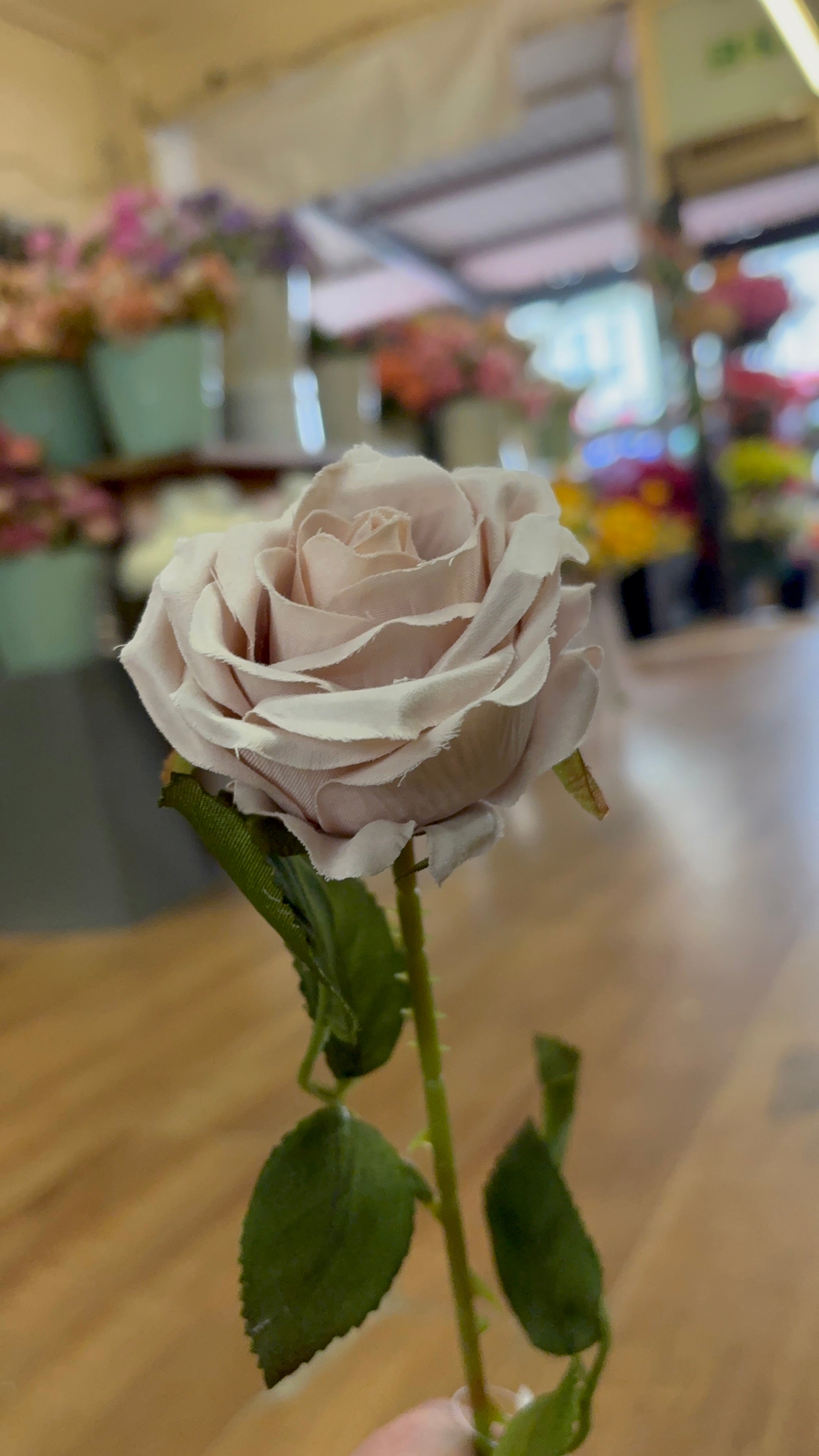Long stem nude Amira rose (head approx 8cm)