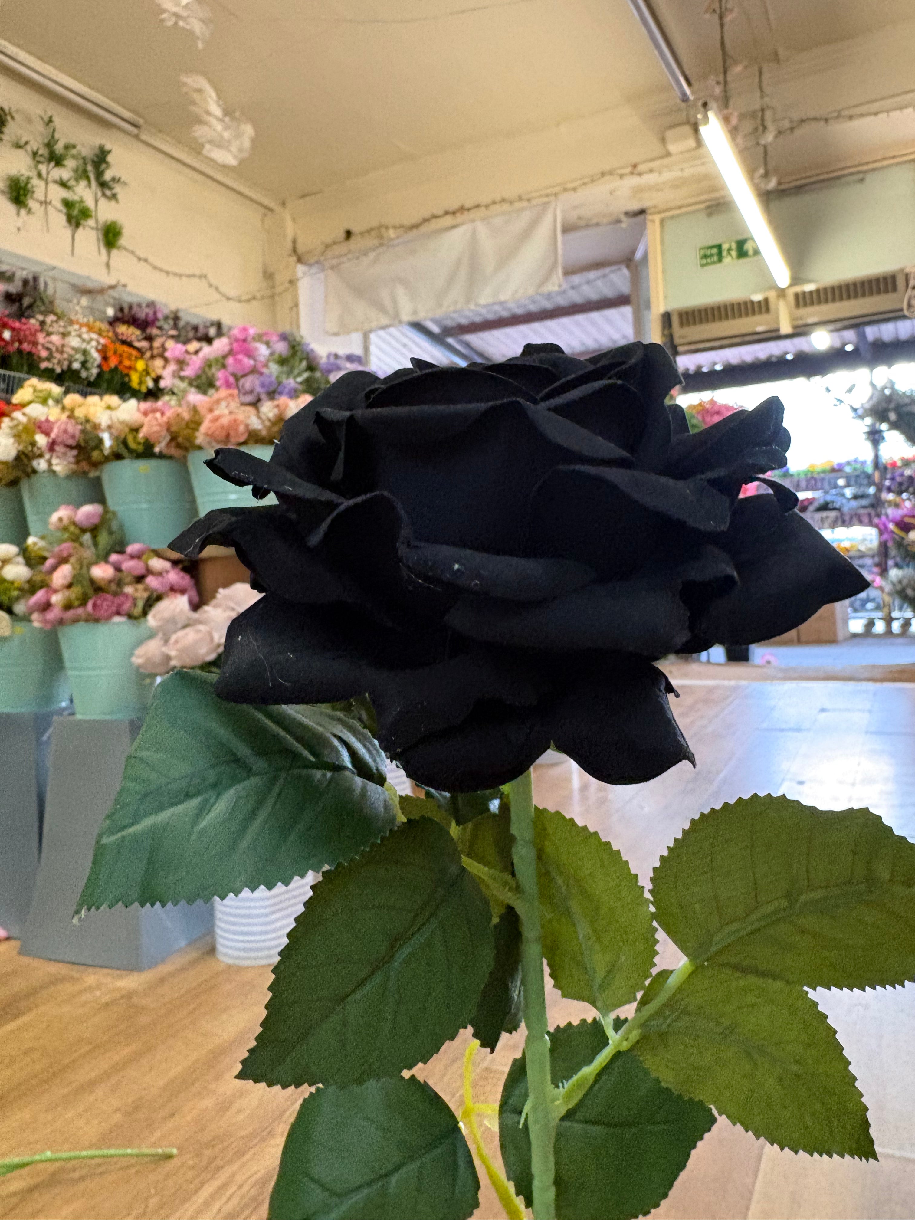 Long stem black velvet rose