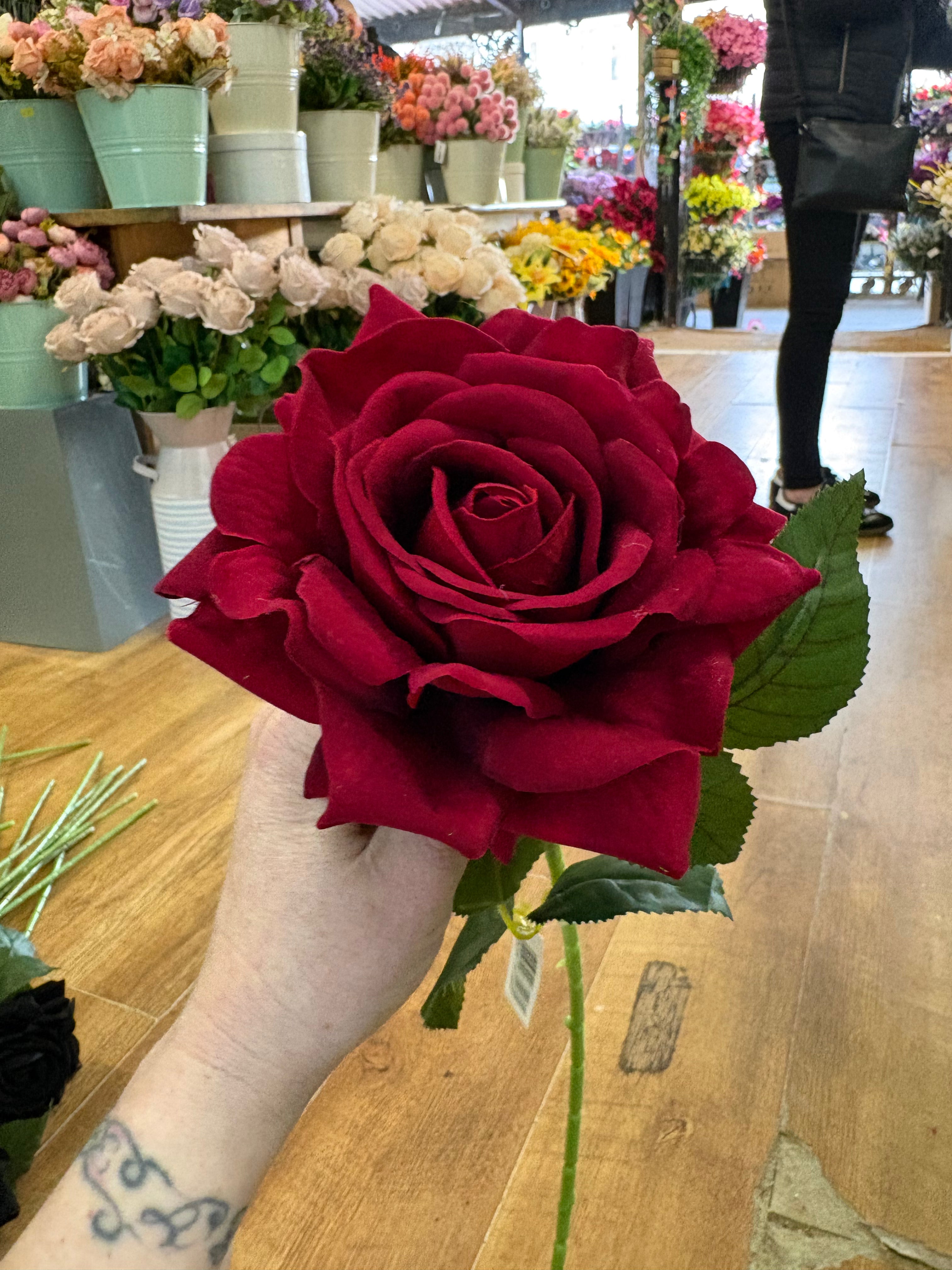 Long stem red velvet rose