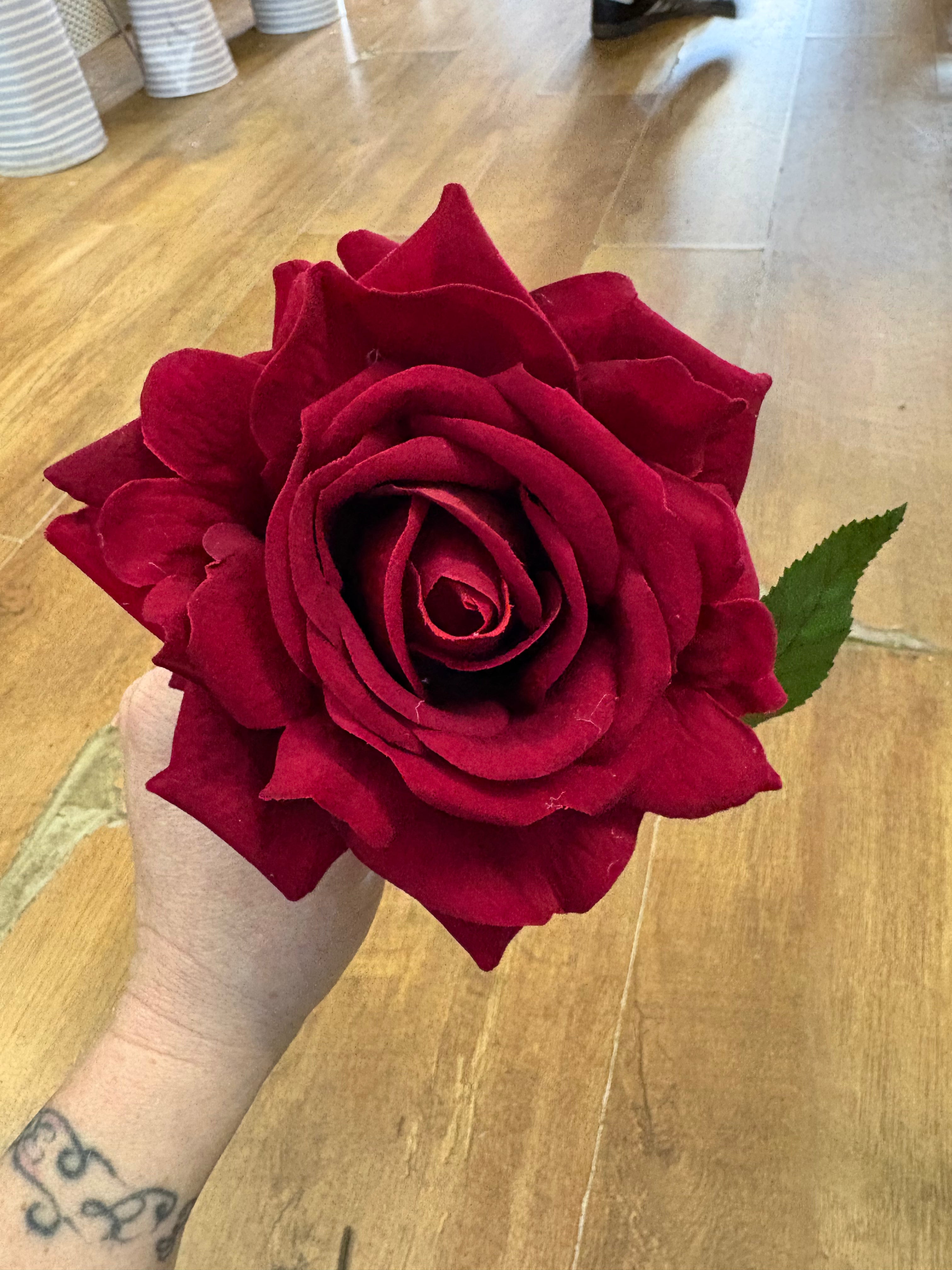 Long stem red velvet rose