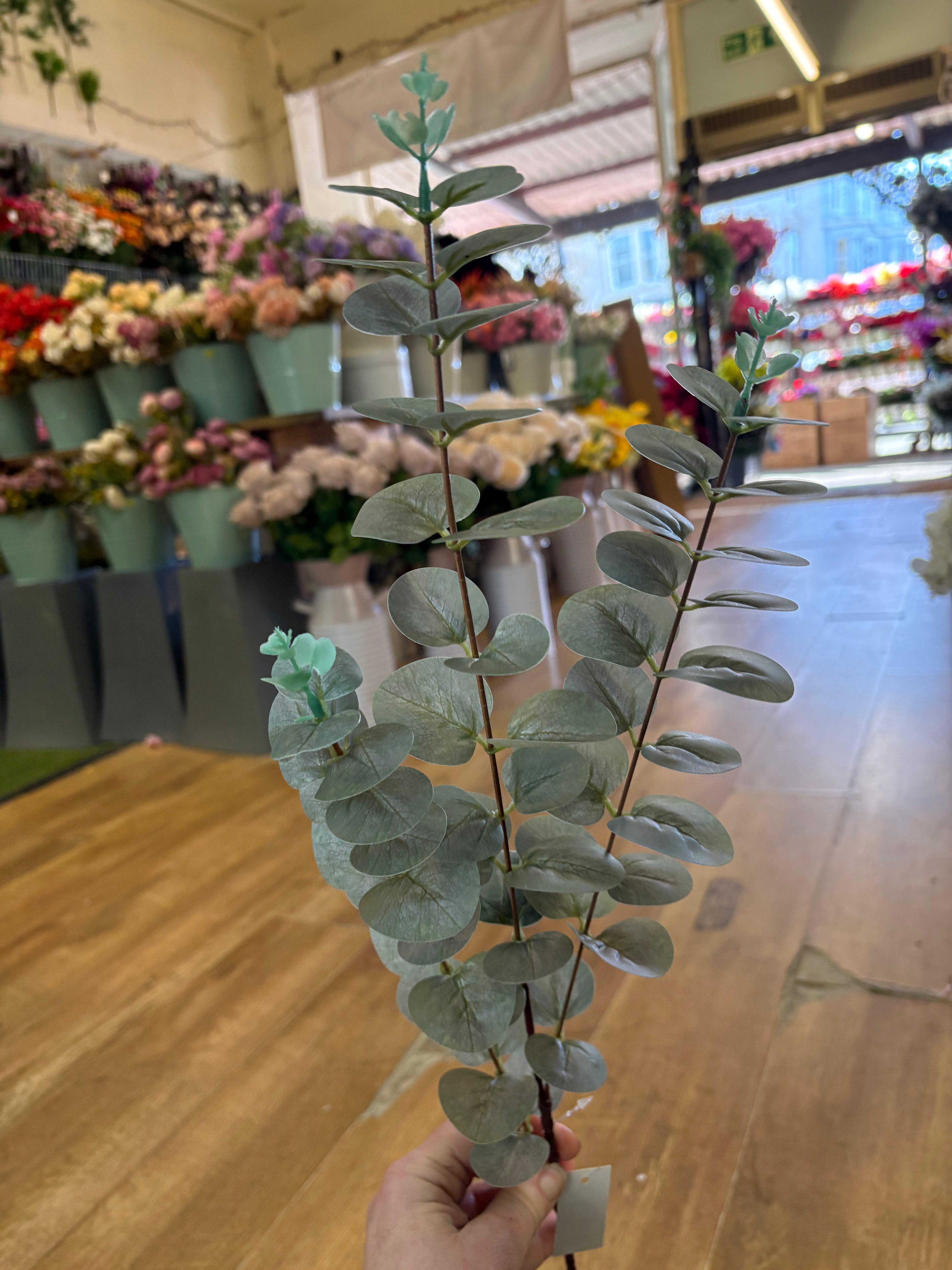 Long stem dusky green eucalyptus spray