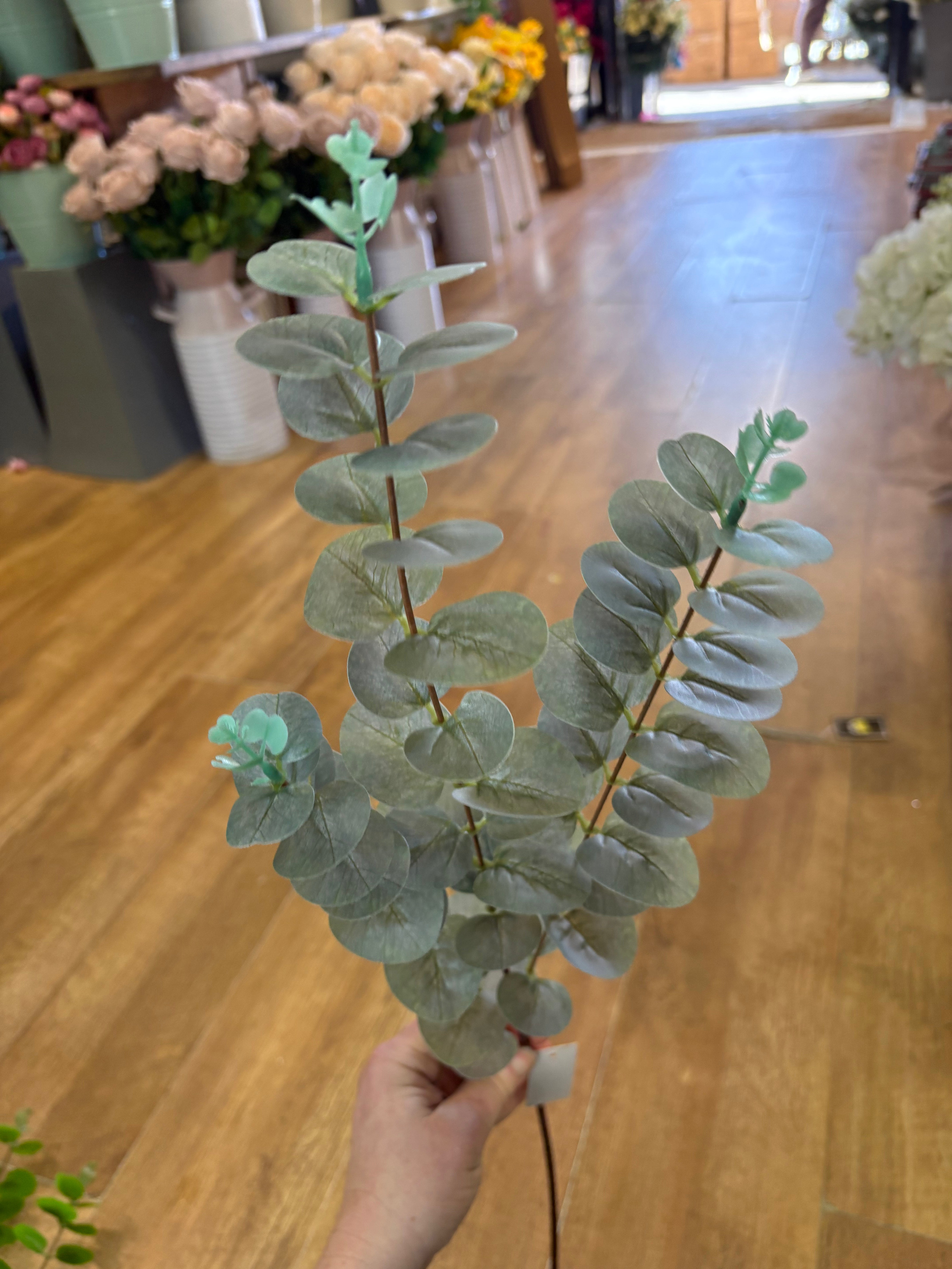 Long stem dusky green eucalyptus spray
