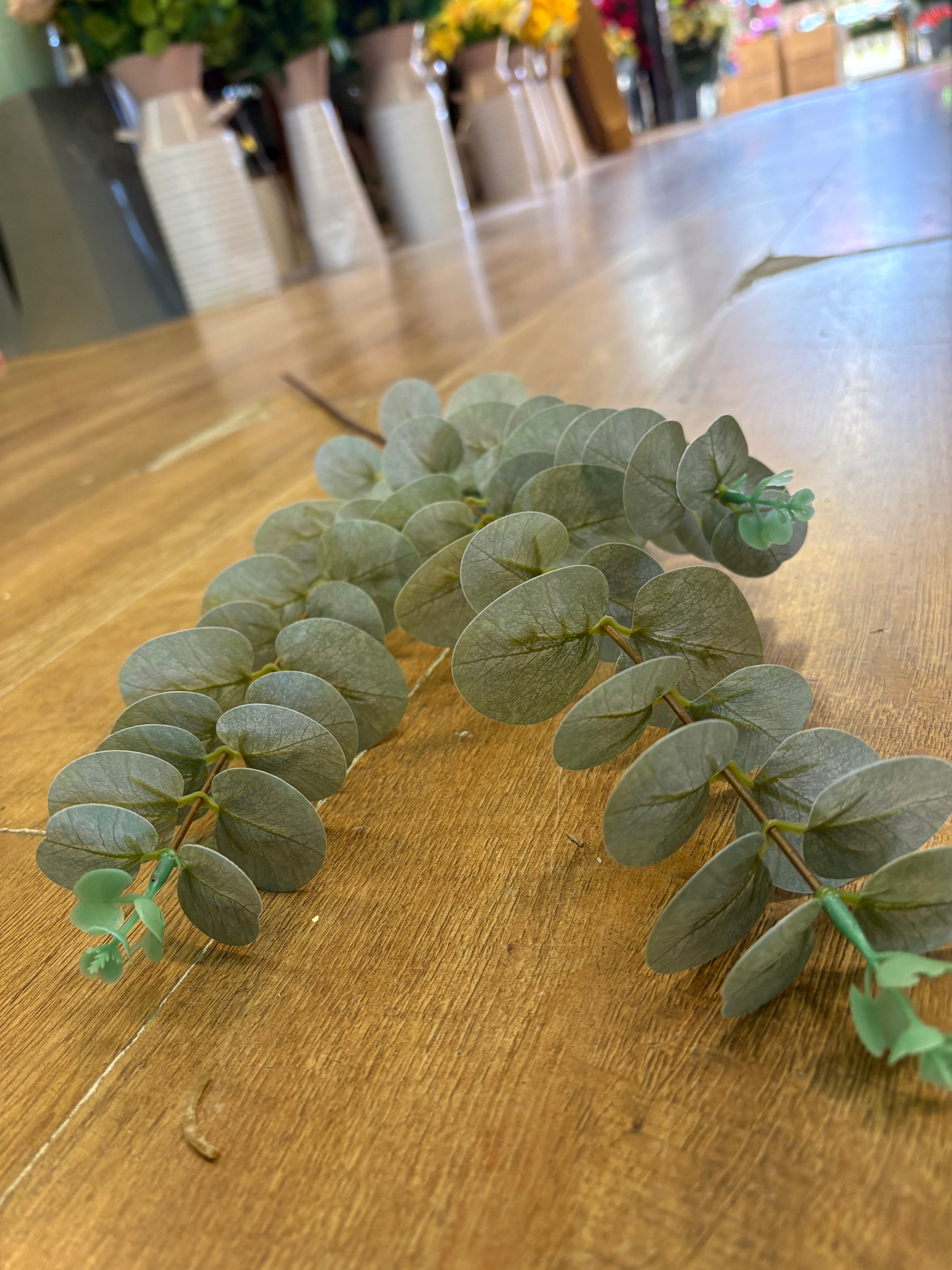 Long stem dusky green eucalyptus spray