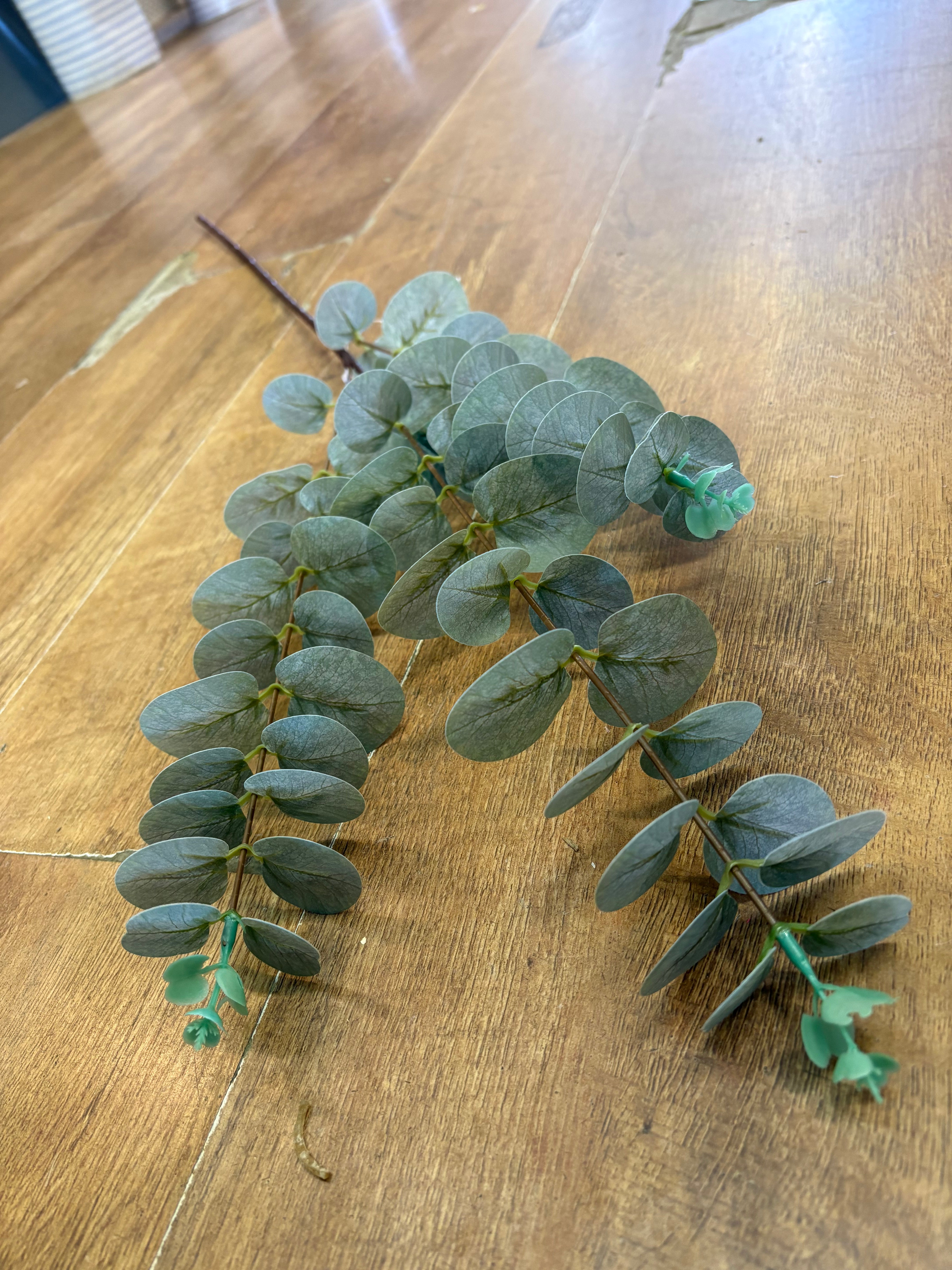 Long stem dusky green eucalyptus spray