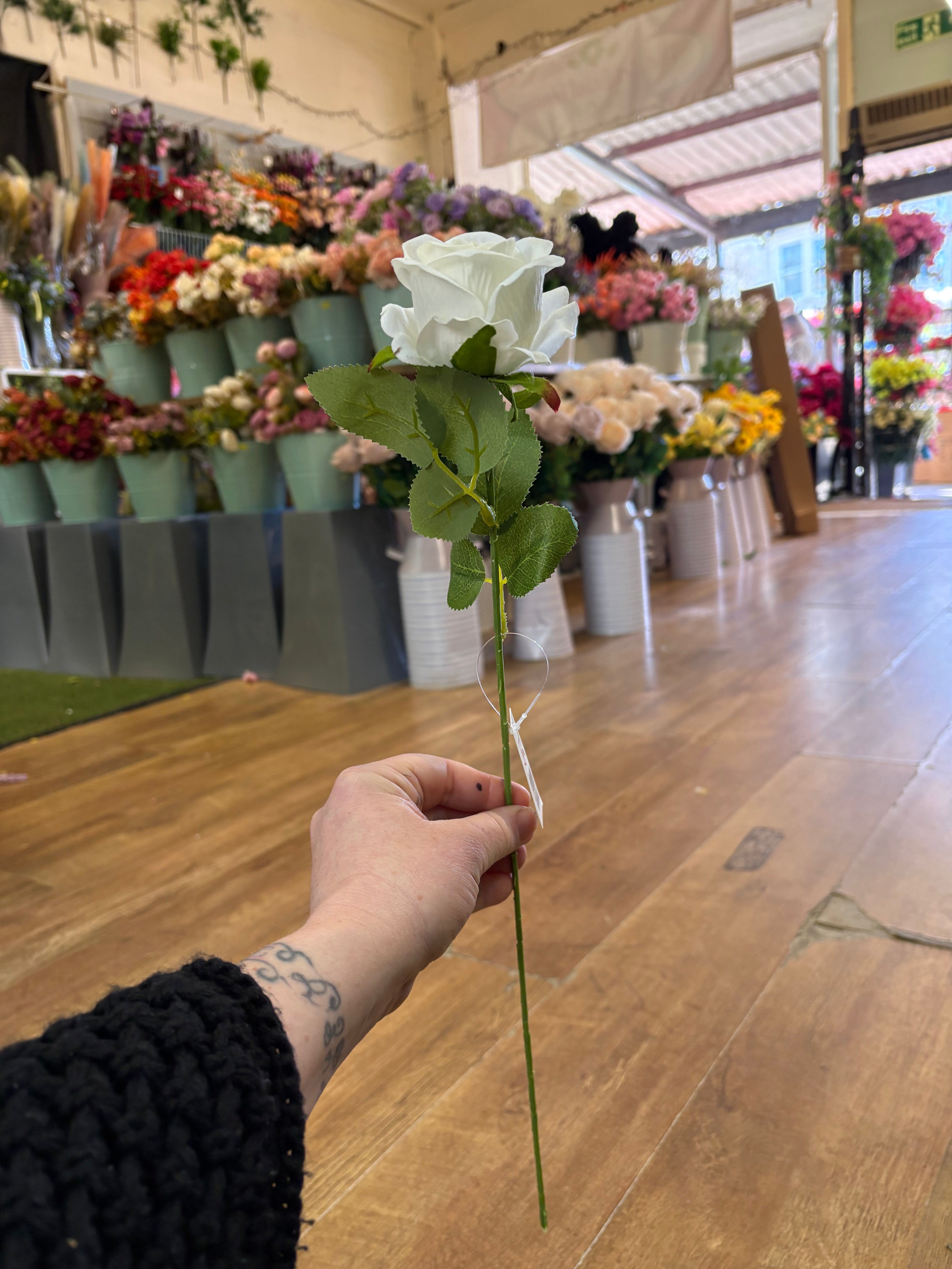 Long stem ivory small single rose