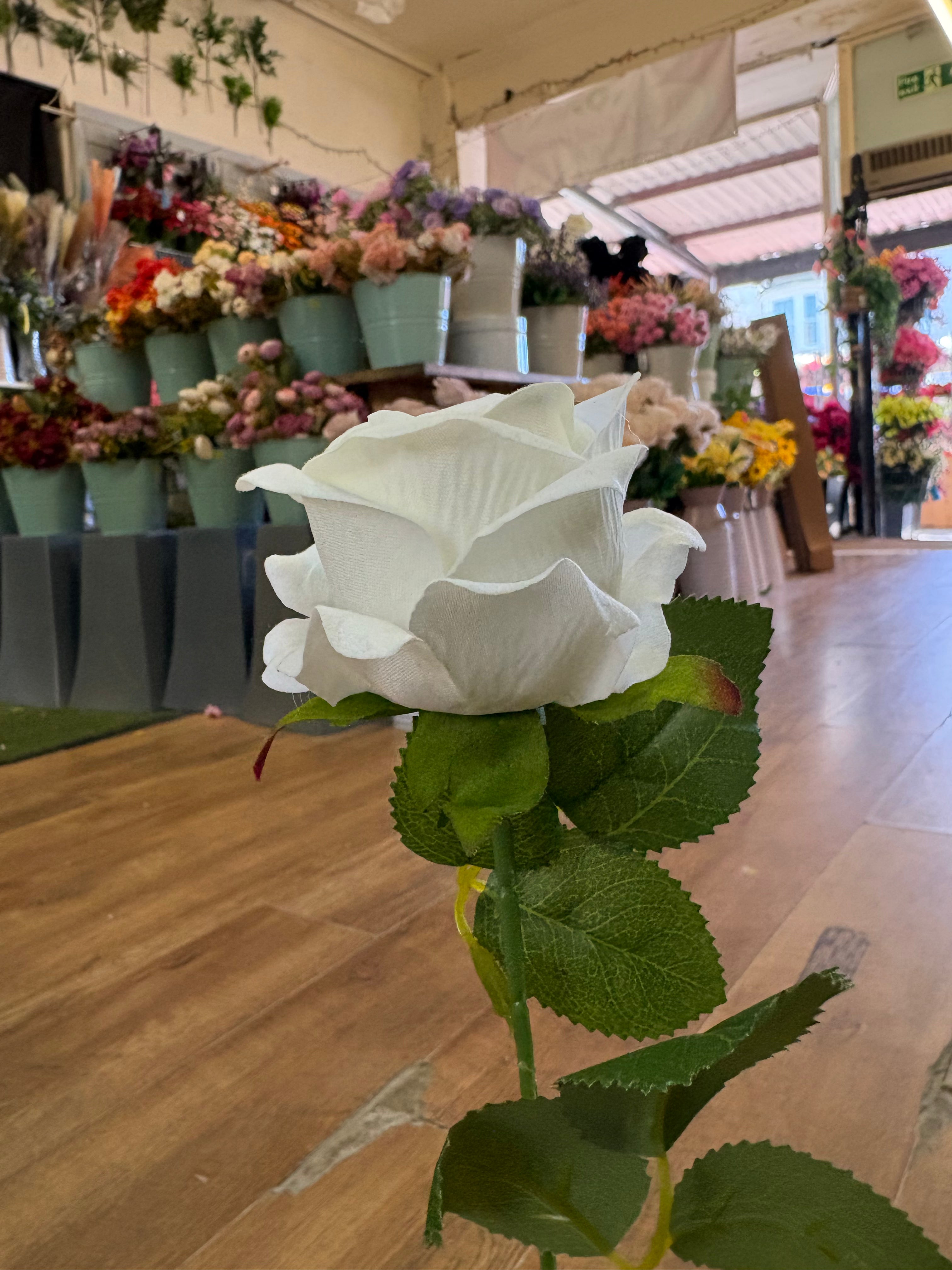 Long stem ivory small single rose