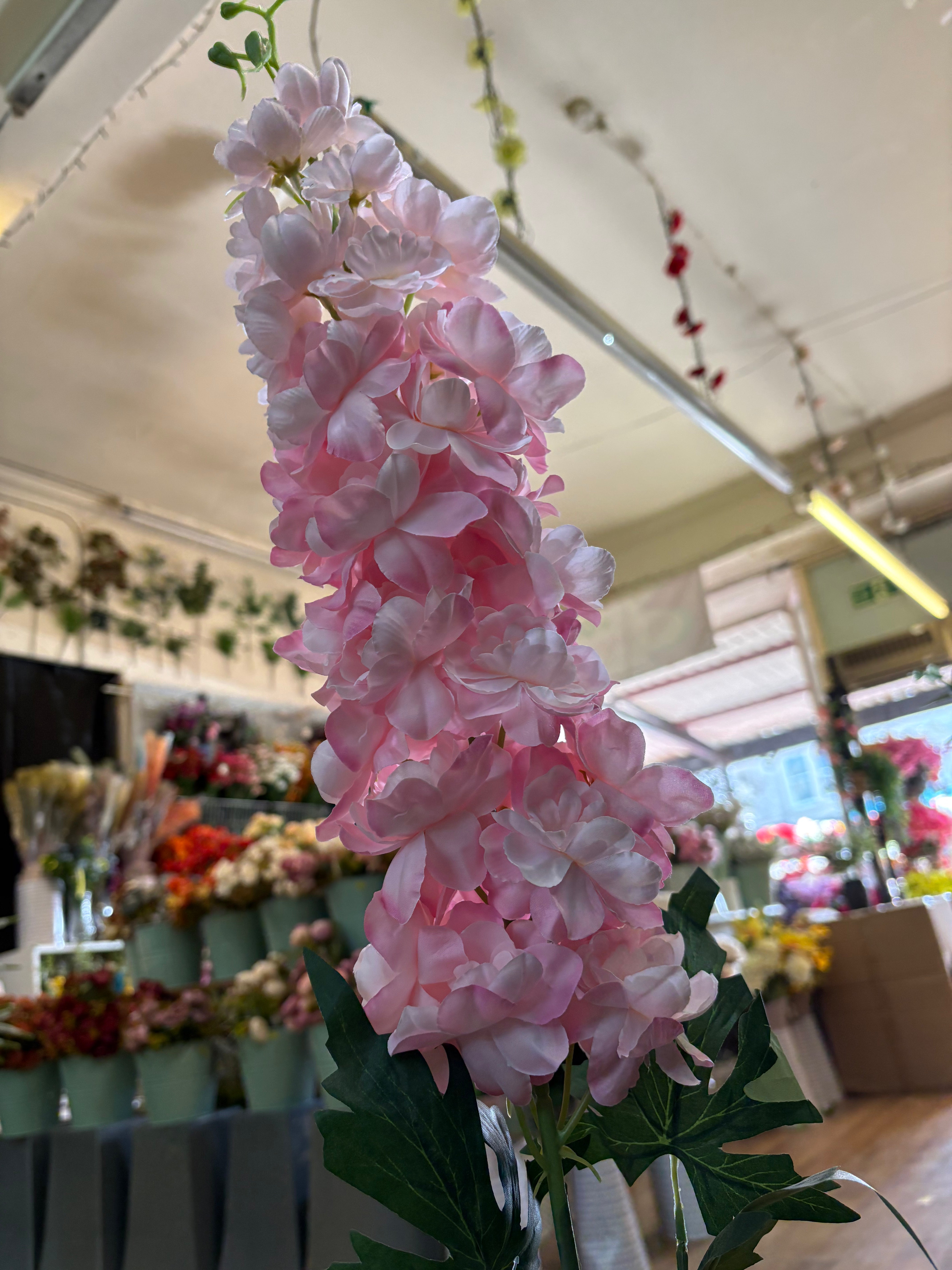 110cm tall mixed pink large delphinium stem