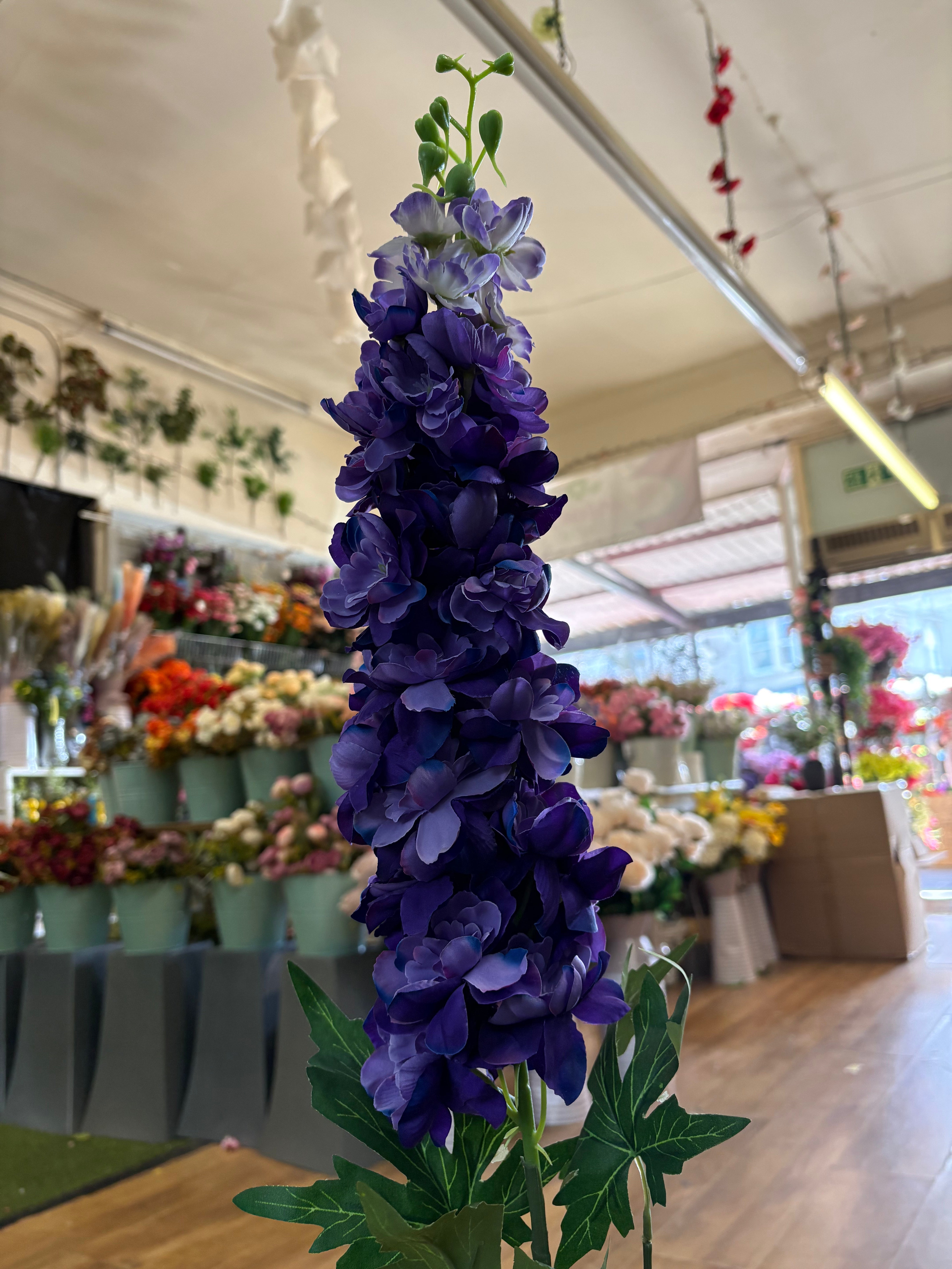 110cm tall mixed purple large delphinium stem