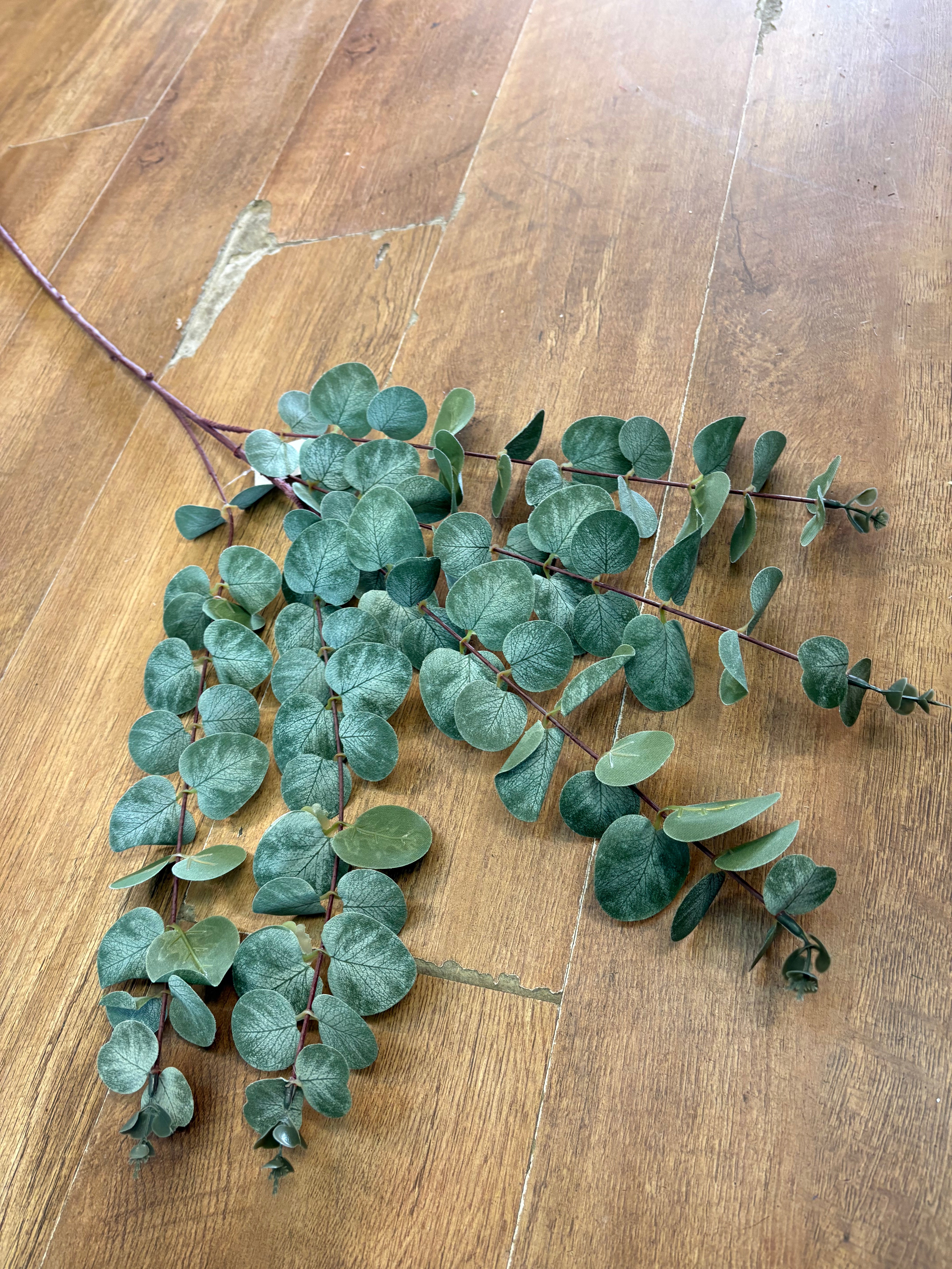 104cm tall eucalyptus branch
