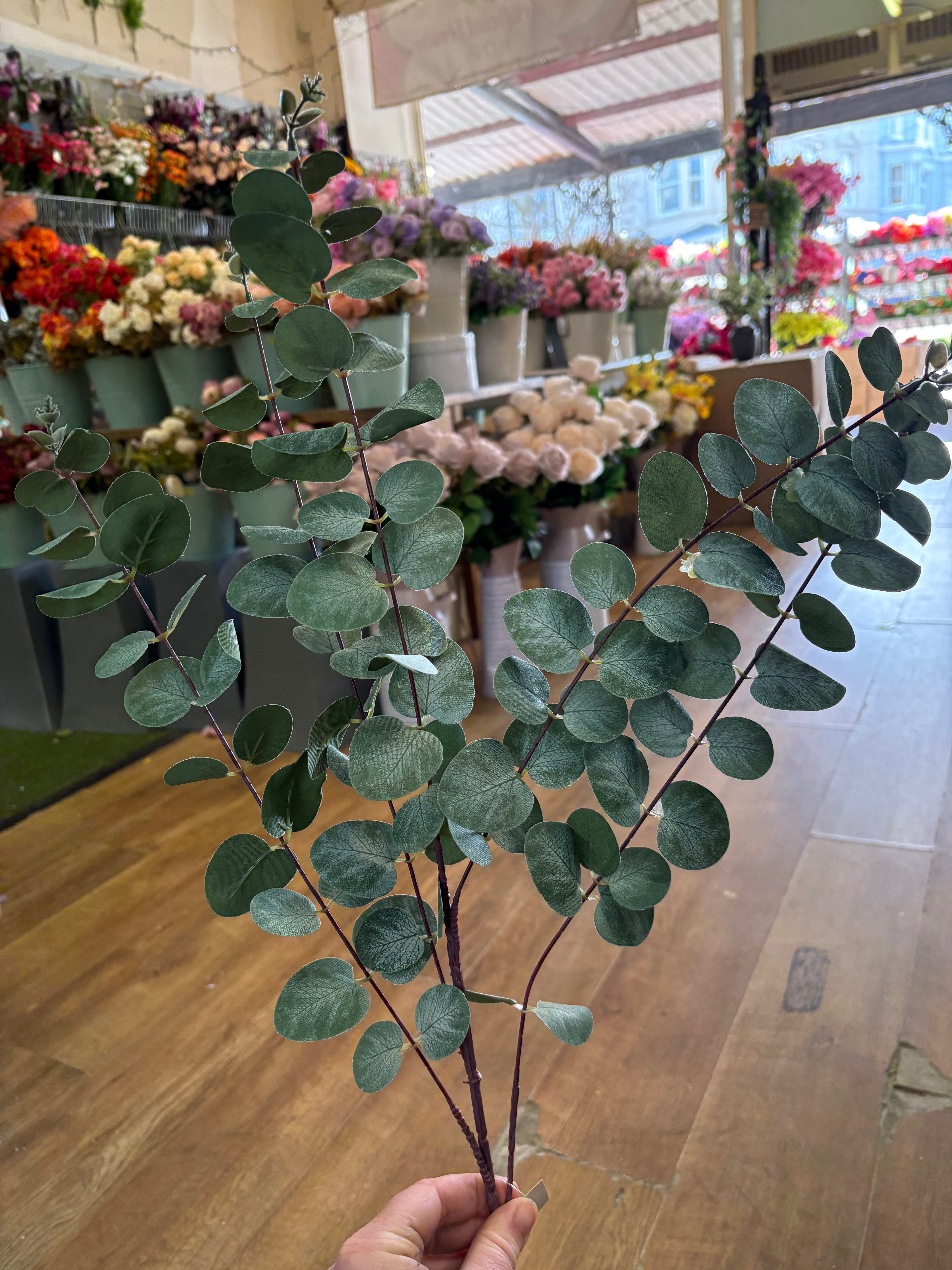 104cm tall eucalyptus branch