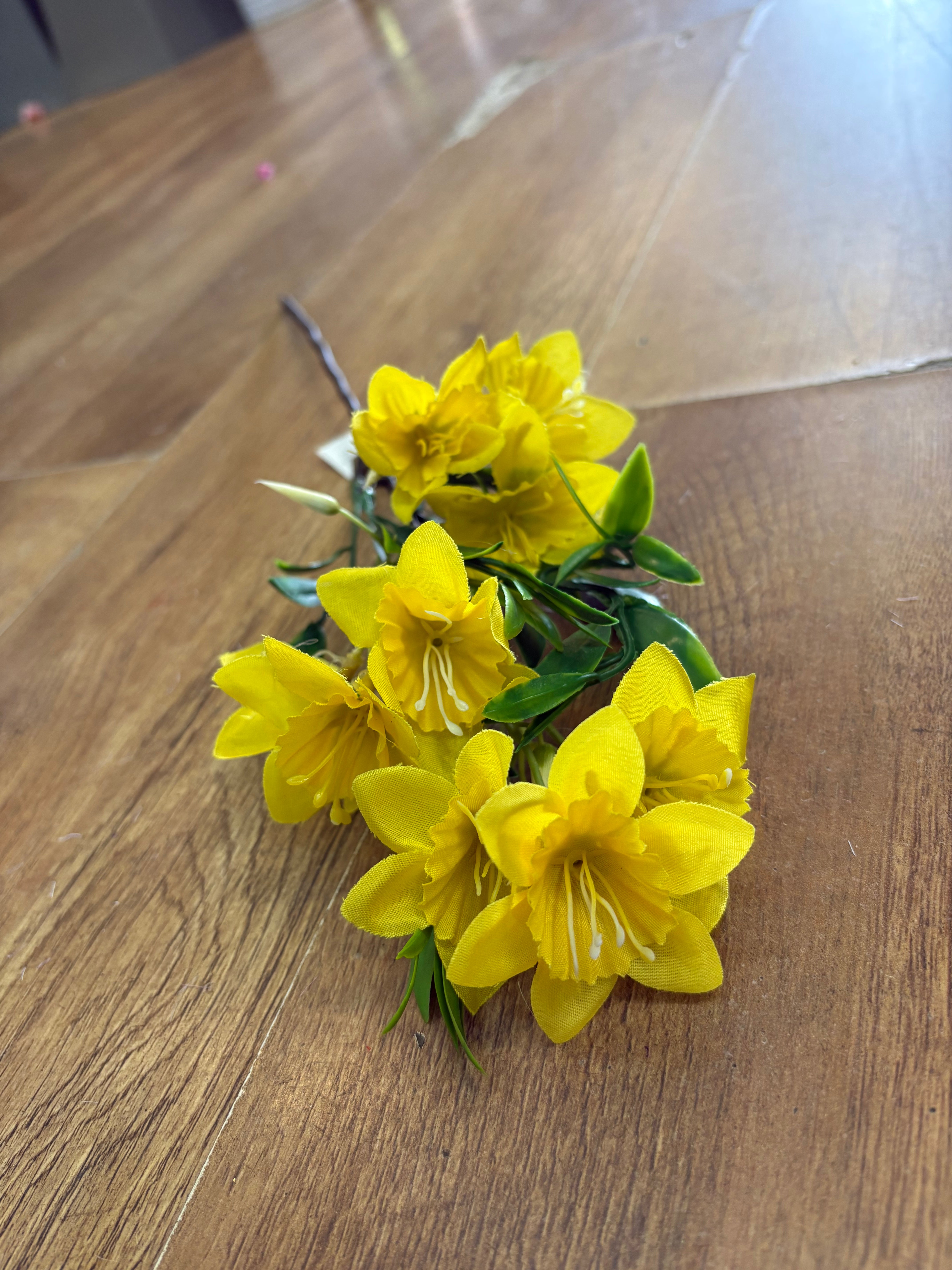 Medium length narcissus stem