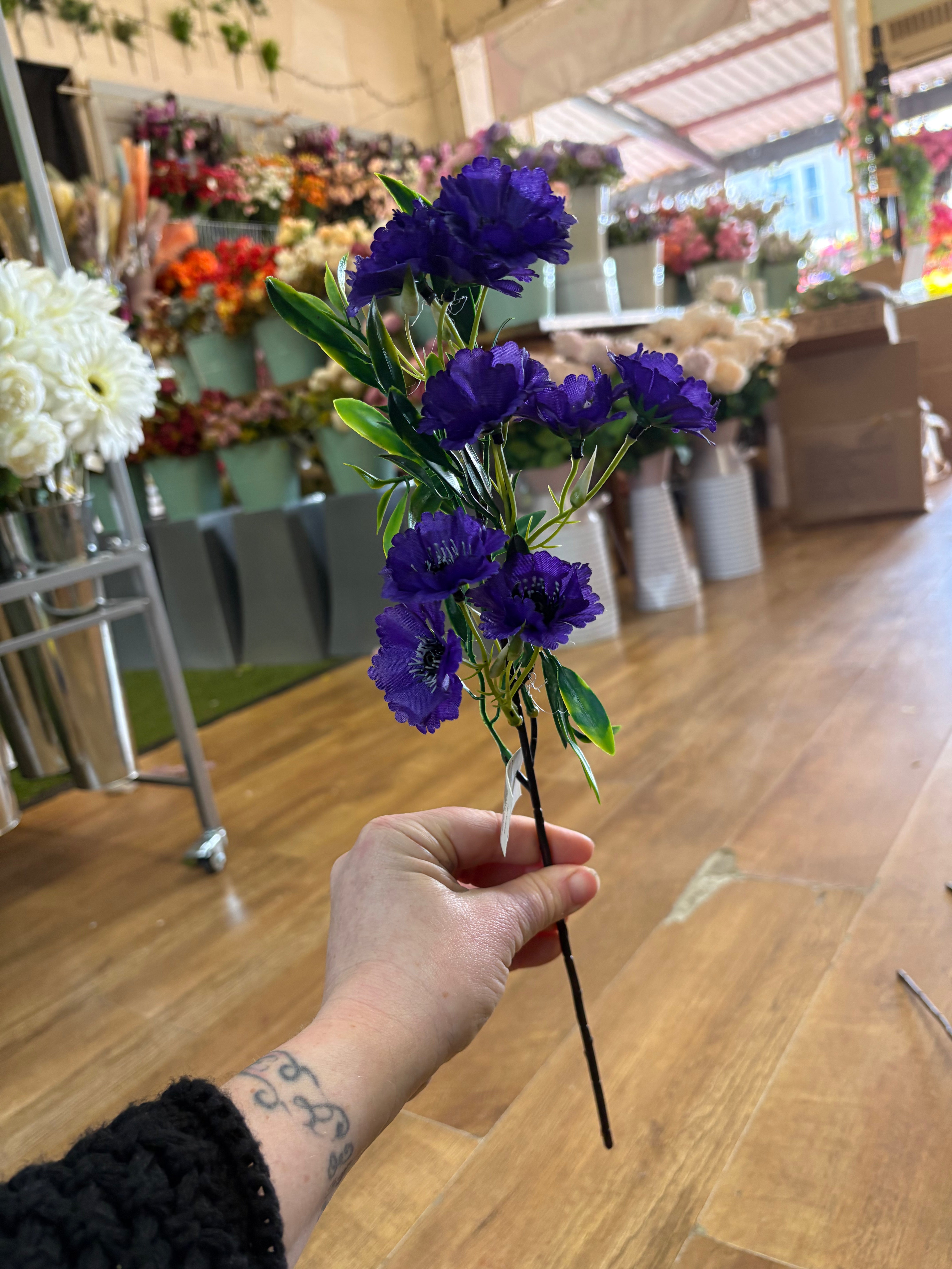 Medium length indigo cornflower stem