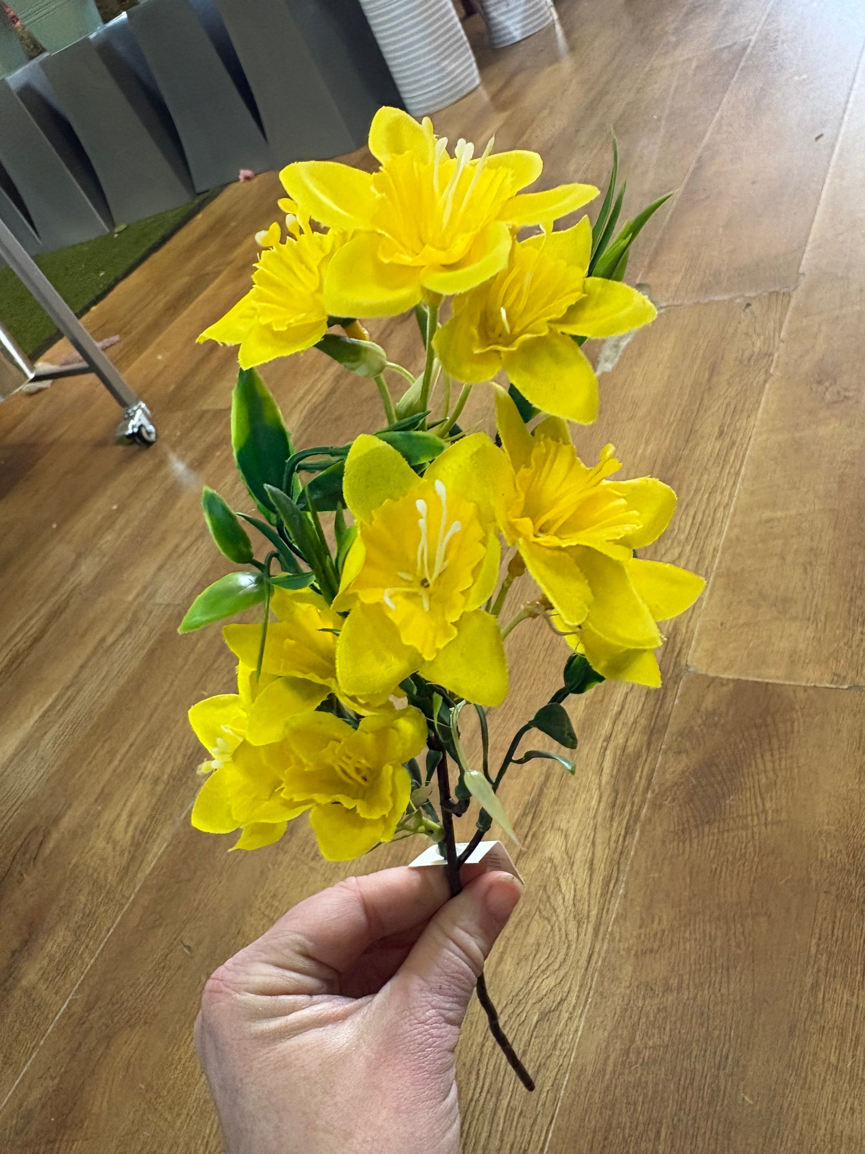 Medium length narcissus stem