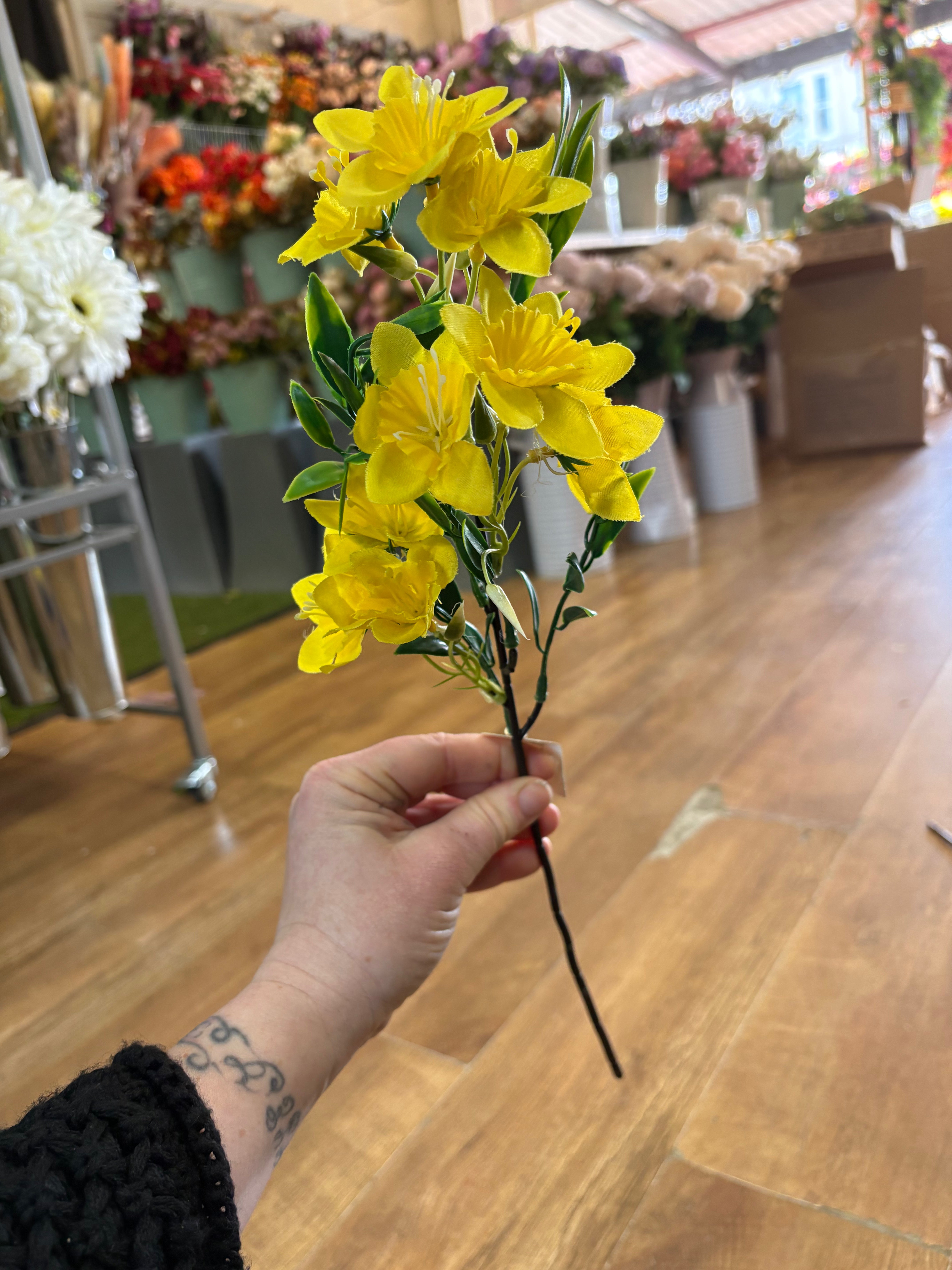 Medium length narcissus stem