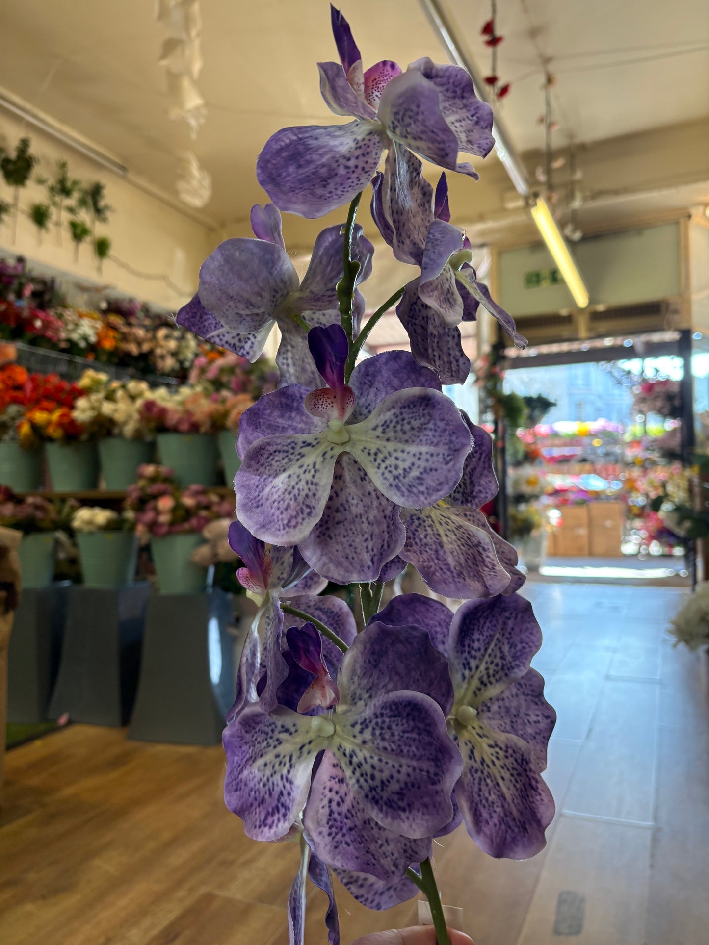 98cm tall mixed purple orchid stem