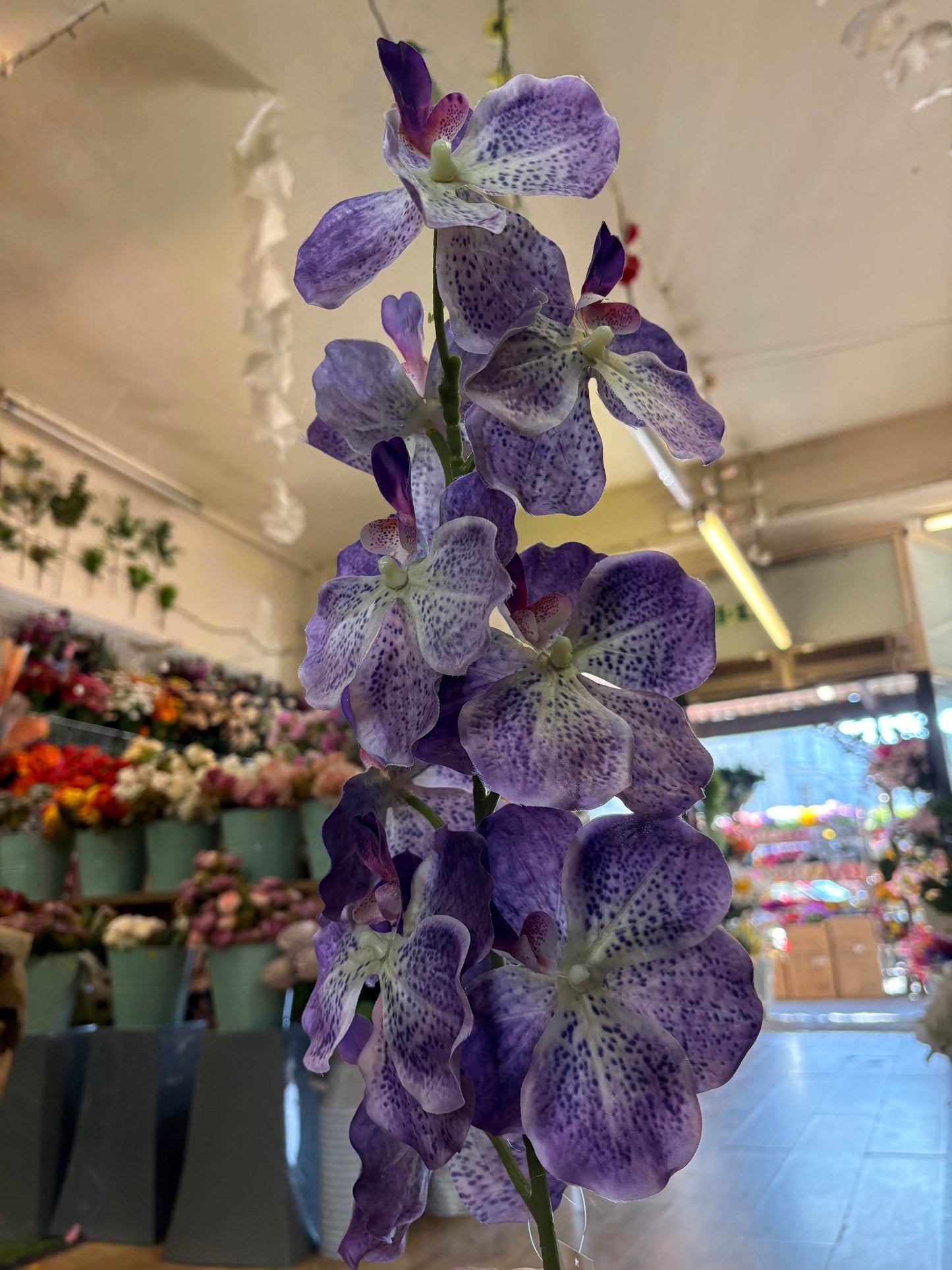 98cm tall mixed purple orchid stem