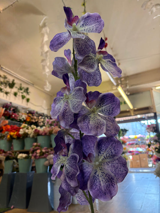 98cm tall mixed purple orchid stem