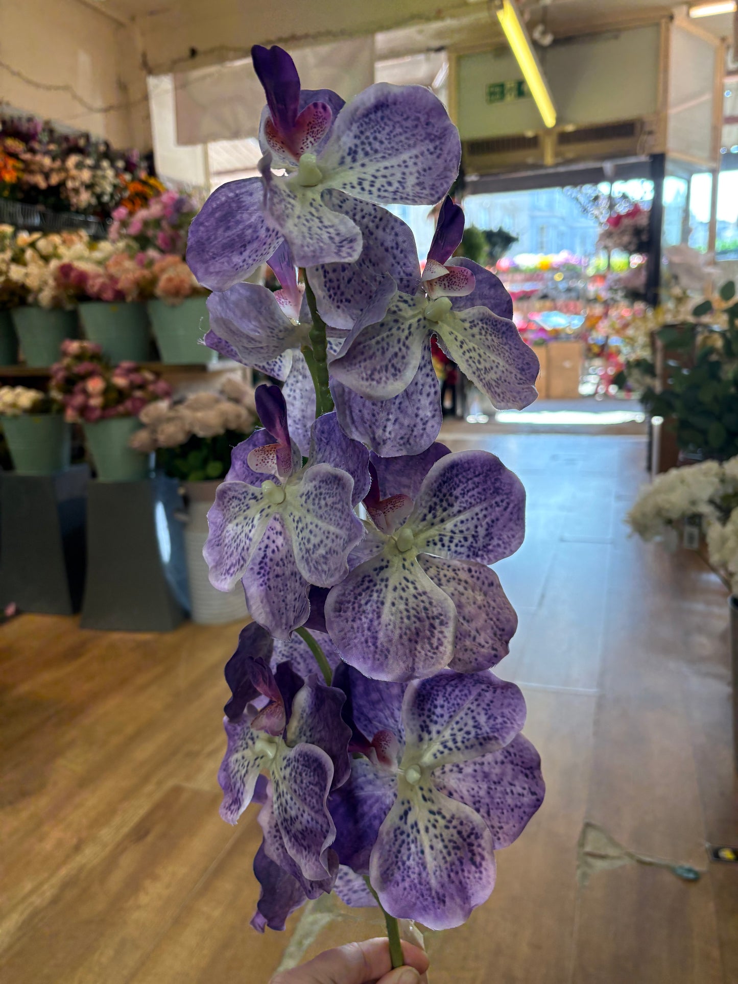 98cm tall mixed purple orchid stem