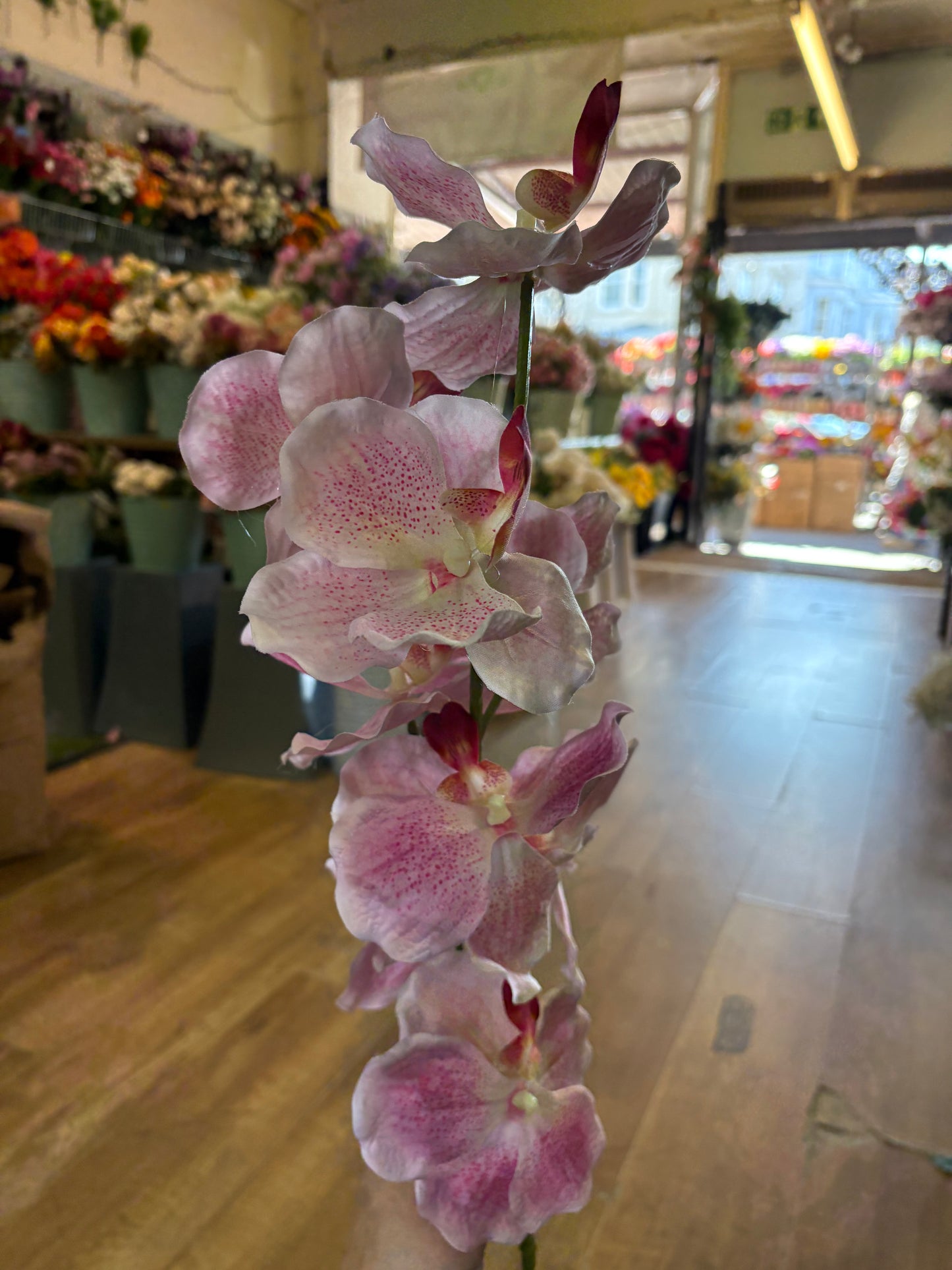 98cm tall mixed pink orchid stem