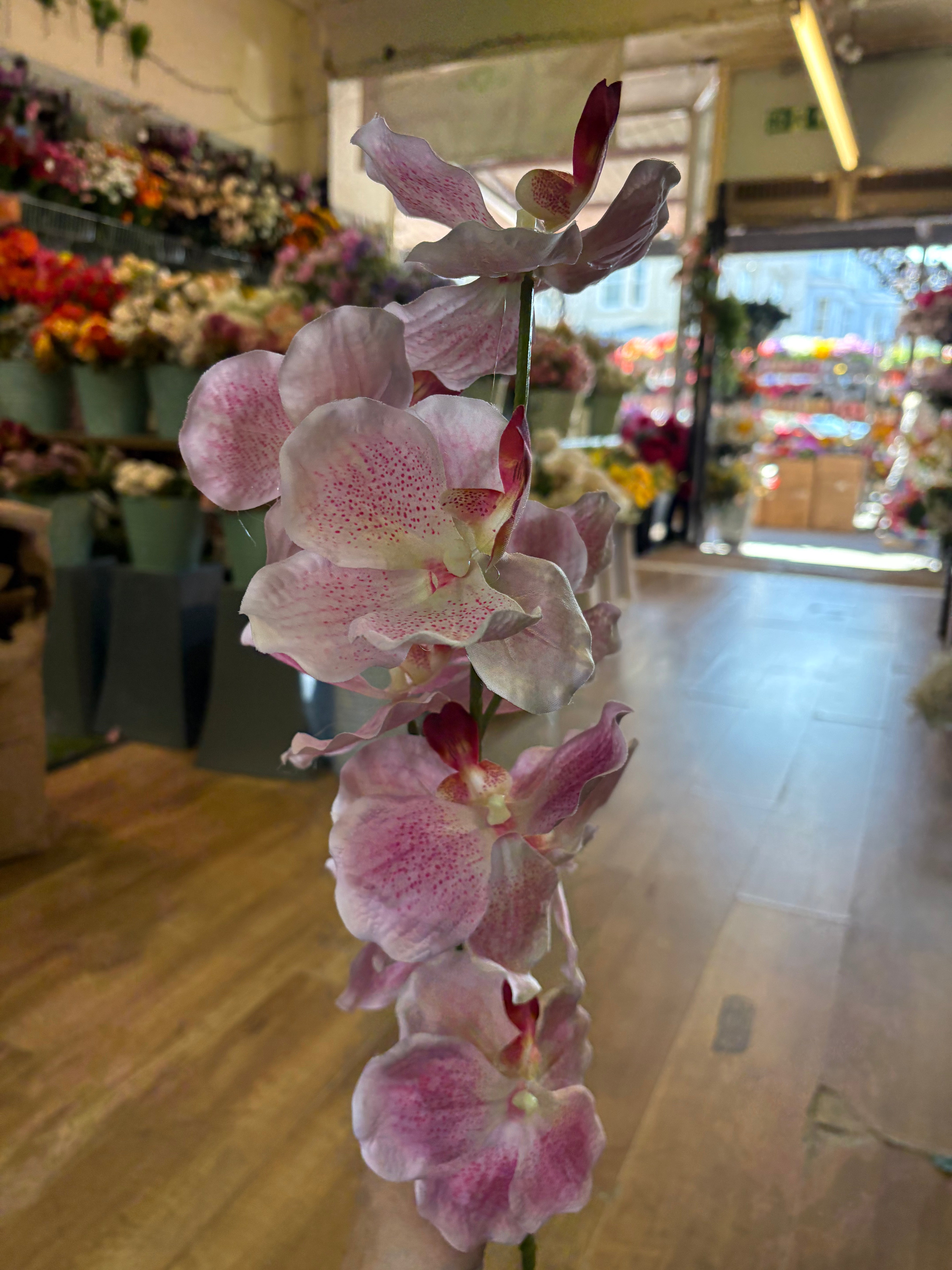 98cm tall mixed pink orchid stem