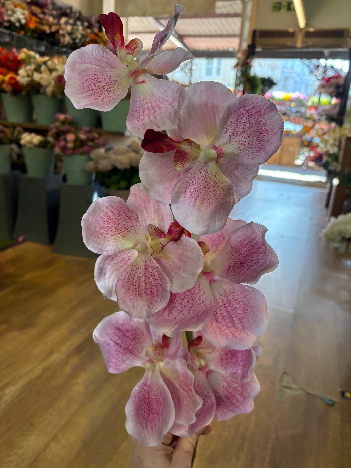 98cm tall mixed pink orchid stem