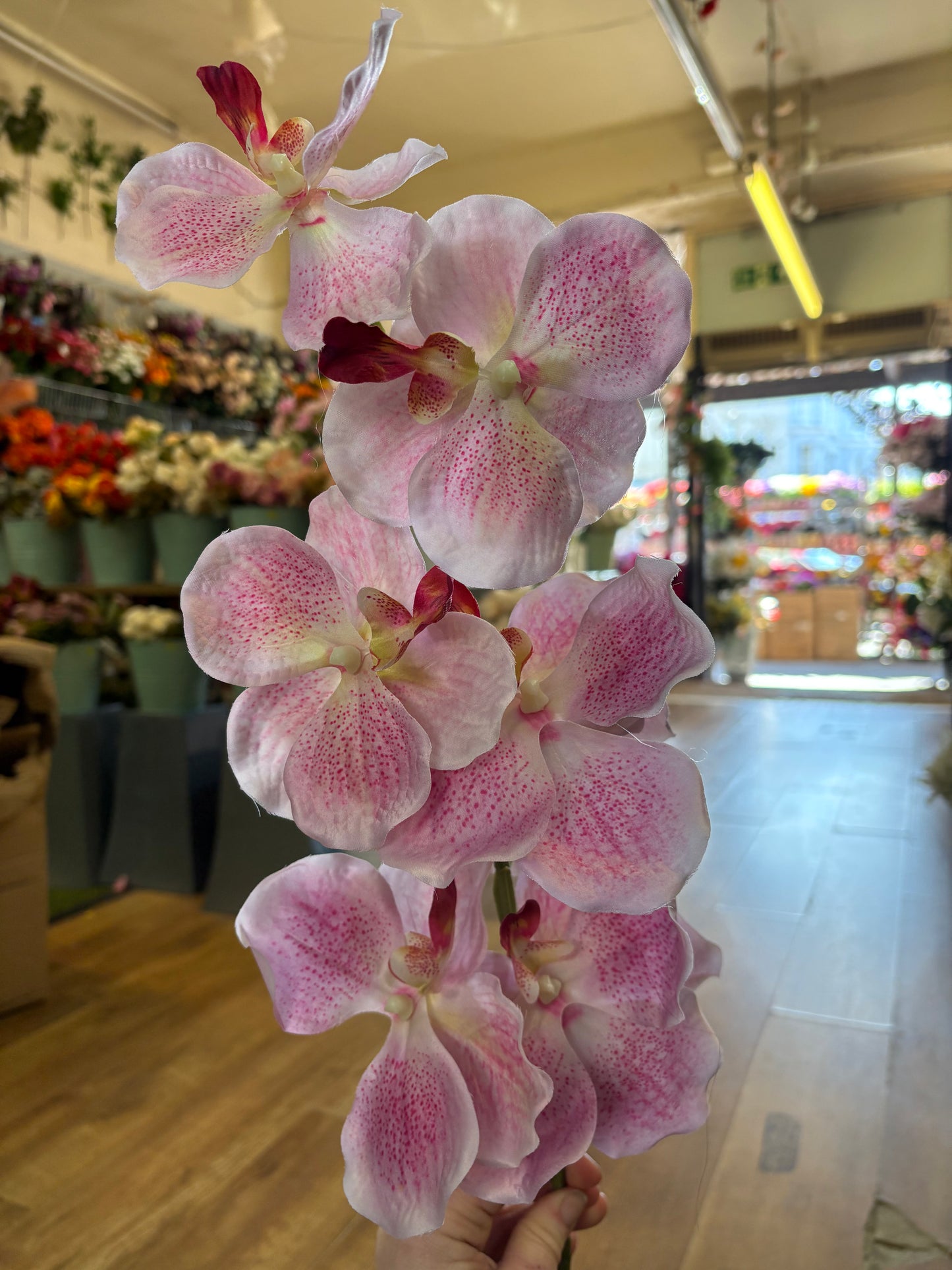 98cm tall mixed pink orchid stem