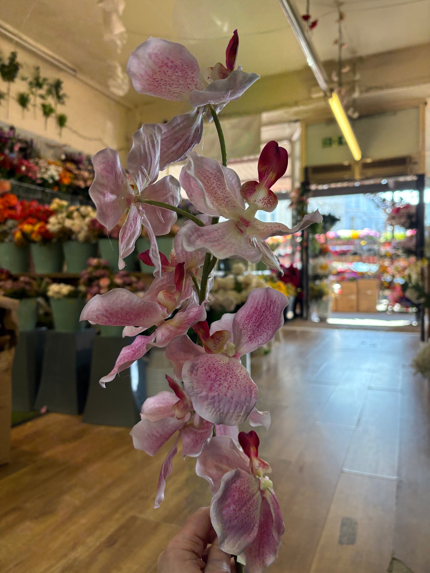 98cm tall mixed pink orchid stem