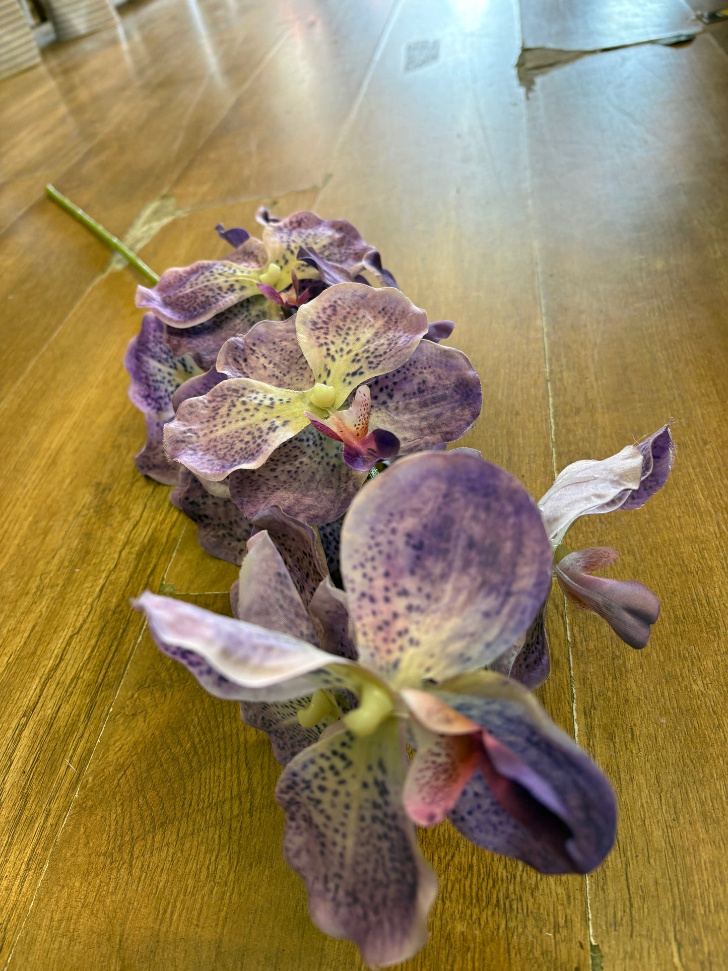 98cm tall mixed purple orchid stem