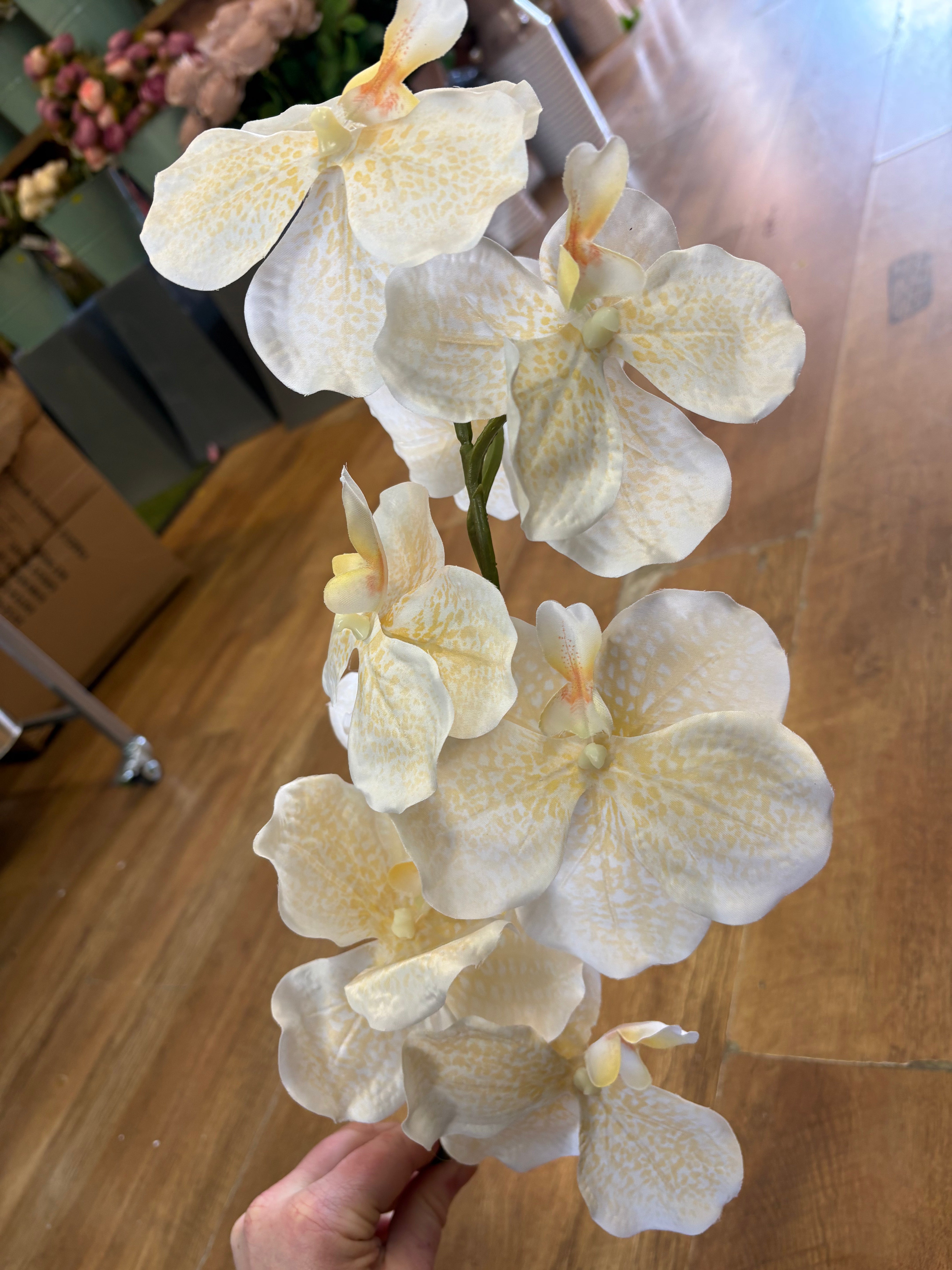 98cm tall ivory and cream orchid stem