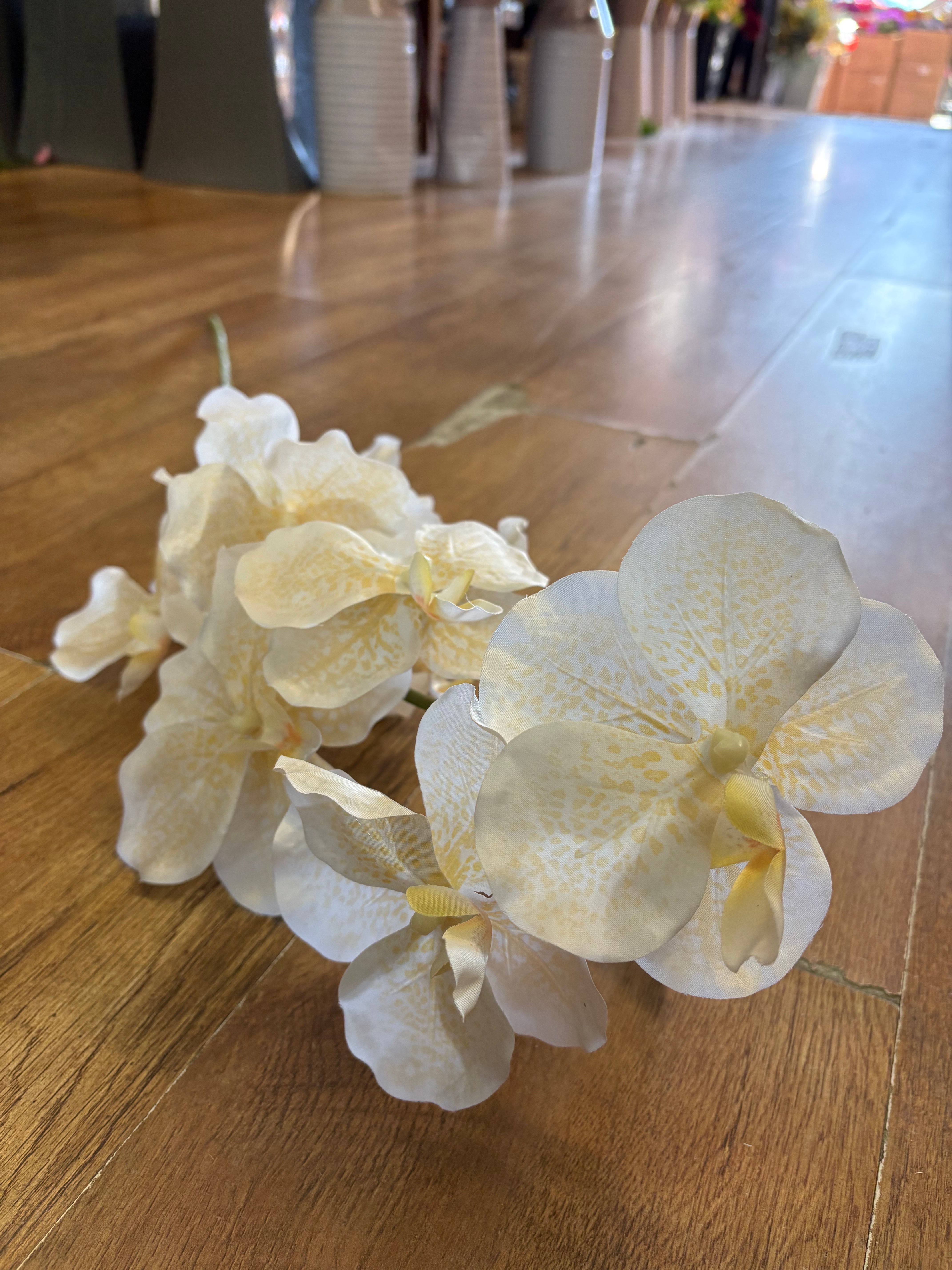 98cm tall ivory and cream orchid stem