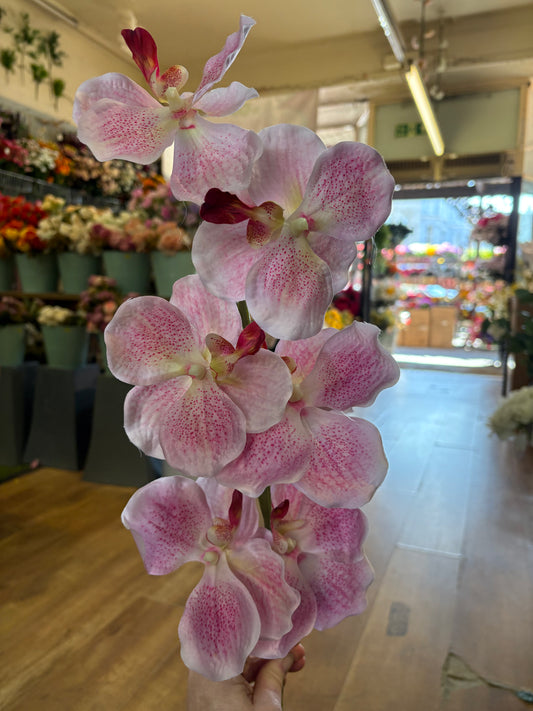 98cm tall mixed pink orchid stem