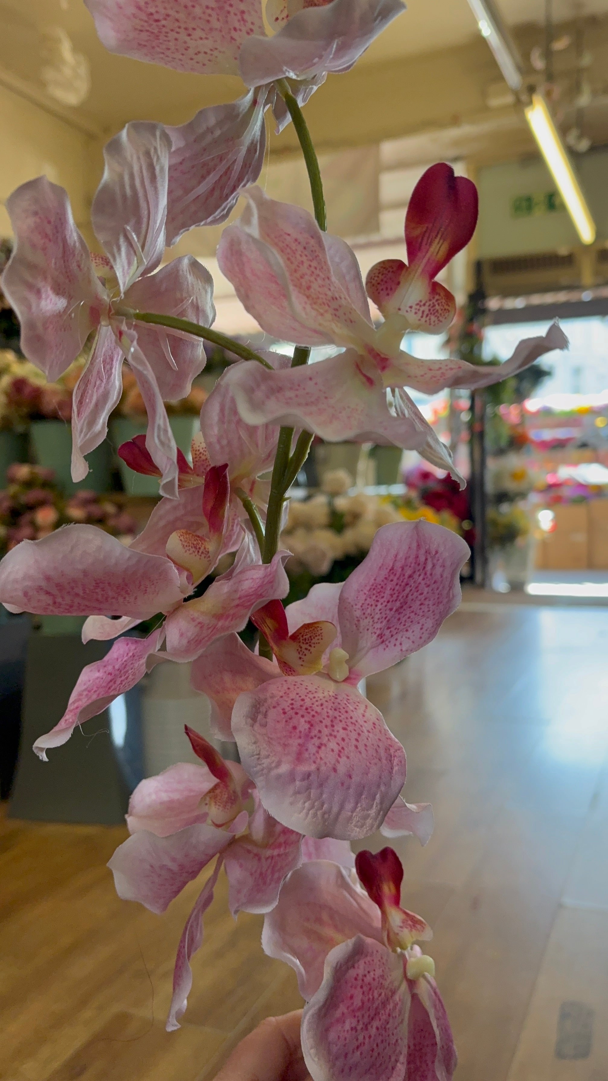 98cm tall mixed pink orchid stem