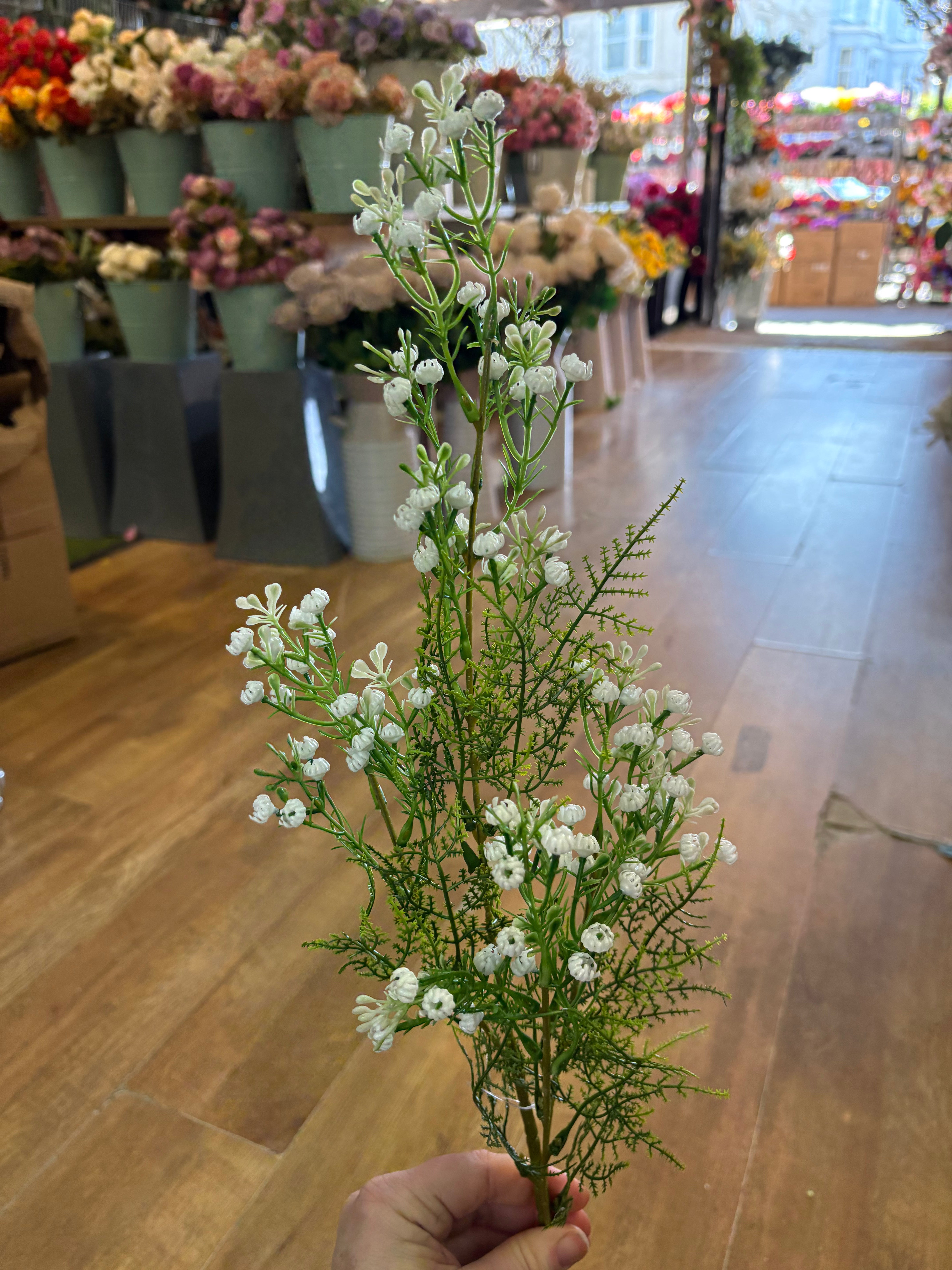 Long stem white gypsophila and fern stem