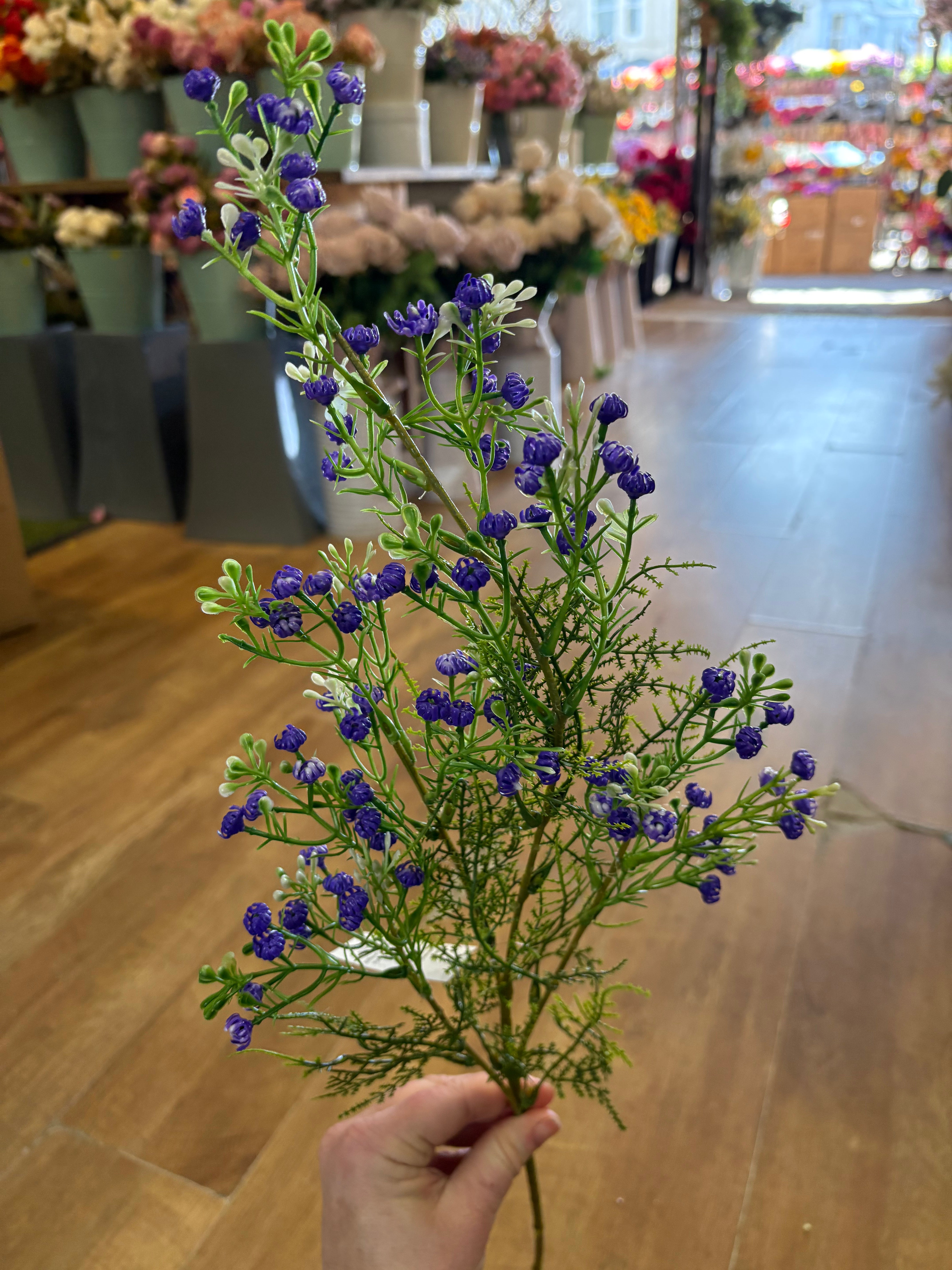 Long stem purple gypsophila and fern stem