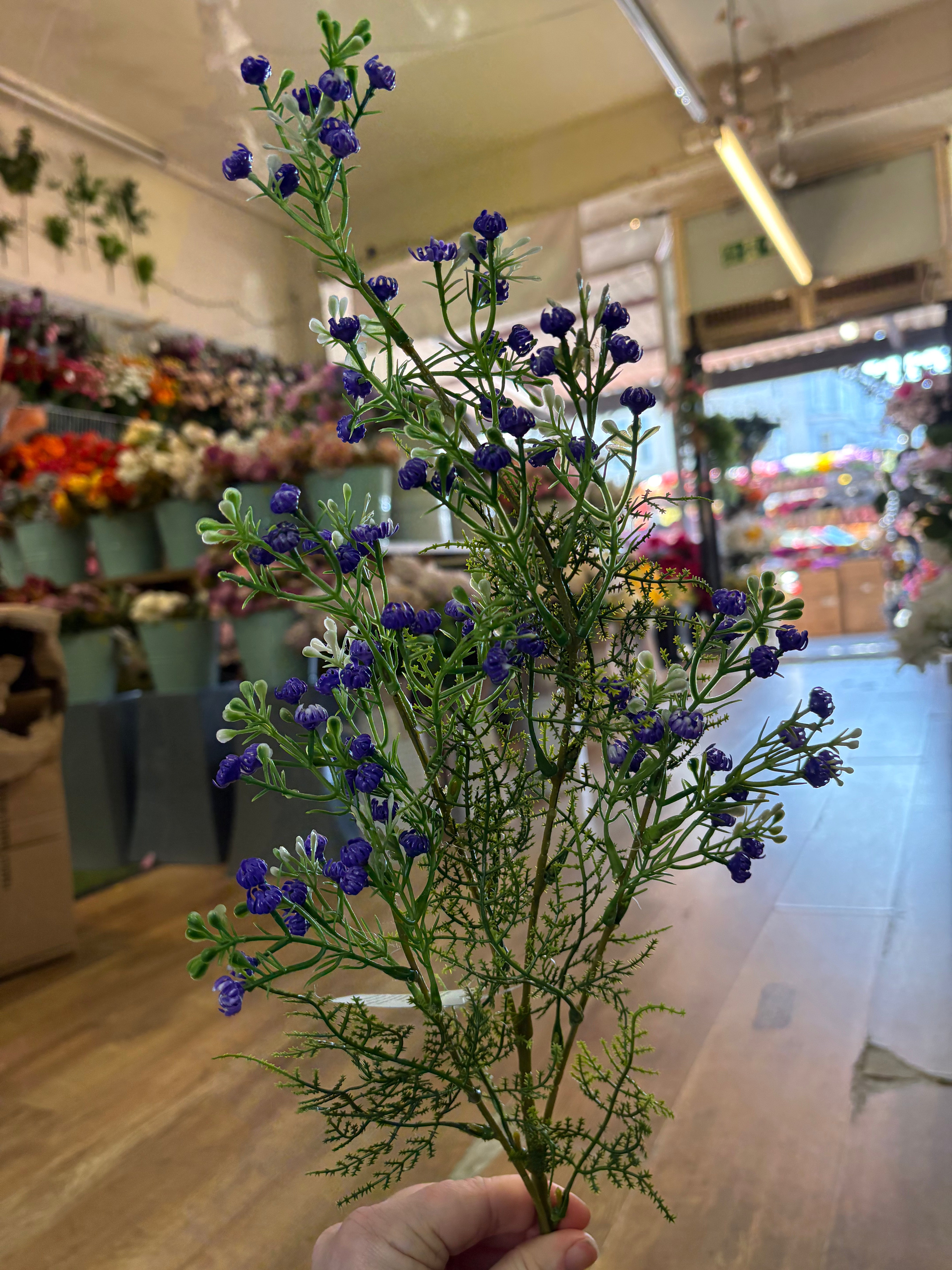 Long stem purple gypsophila and fern stem