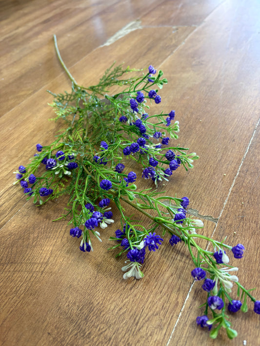 Long stem purple gypsophila and fern stem