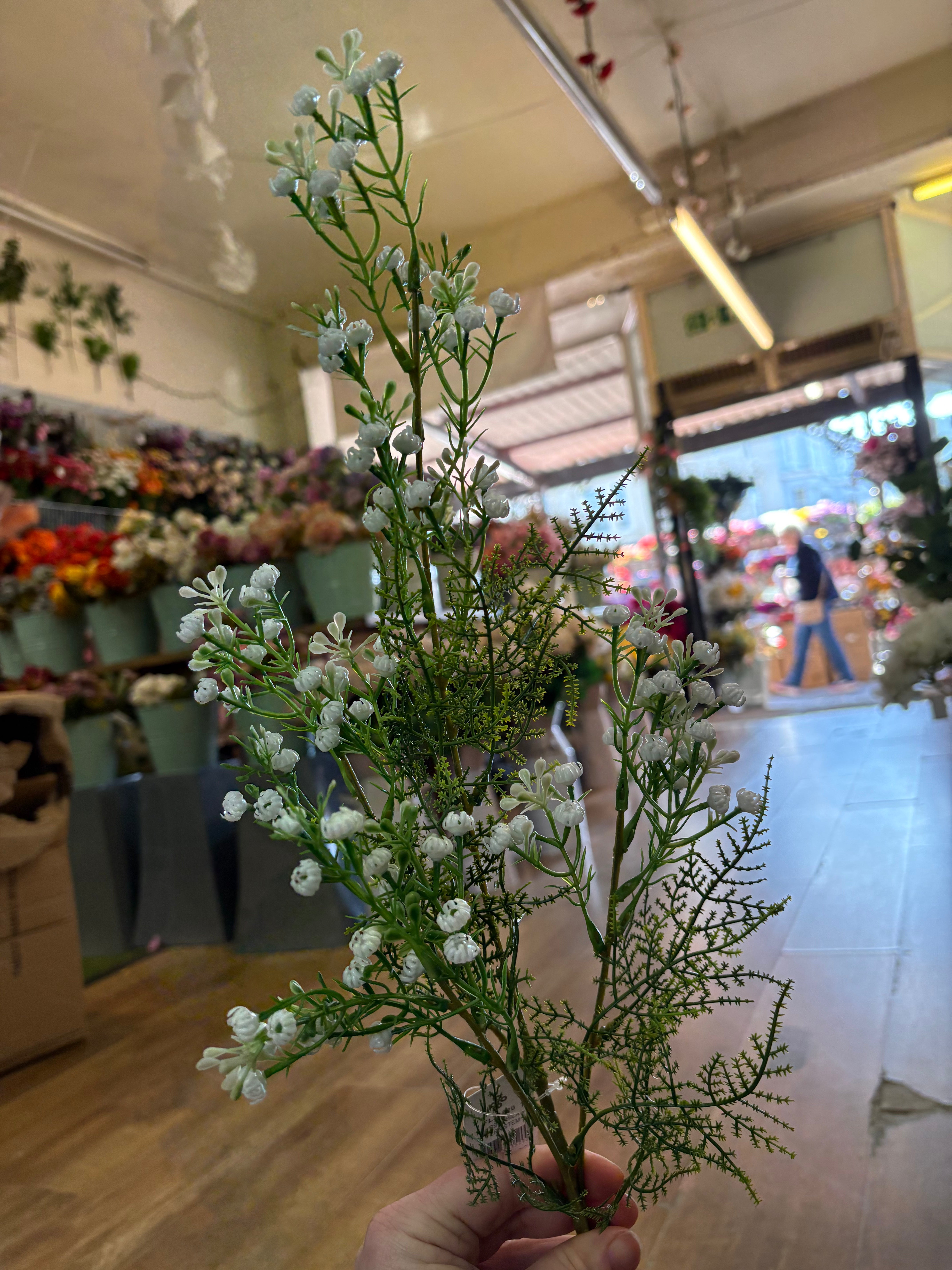 Long stem white gypsophila and fern stem