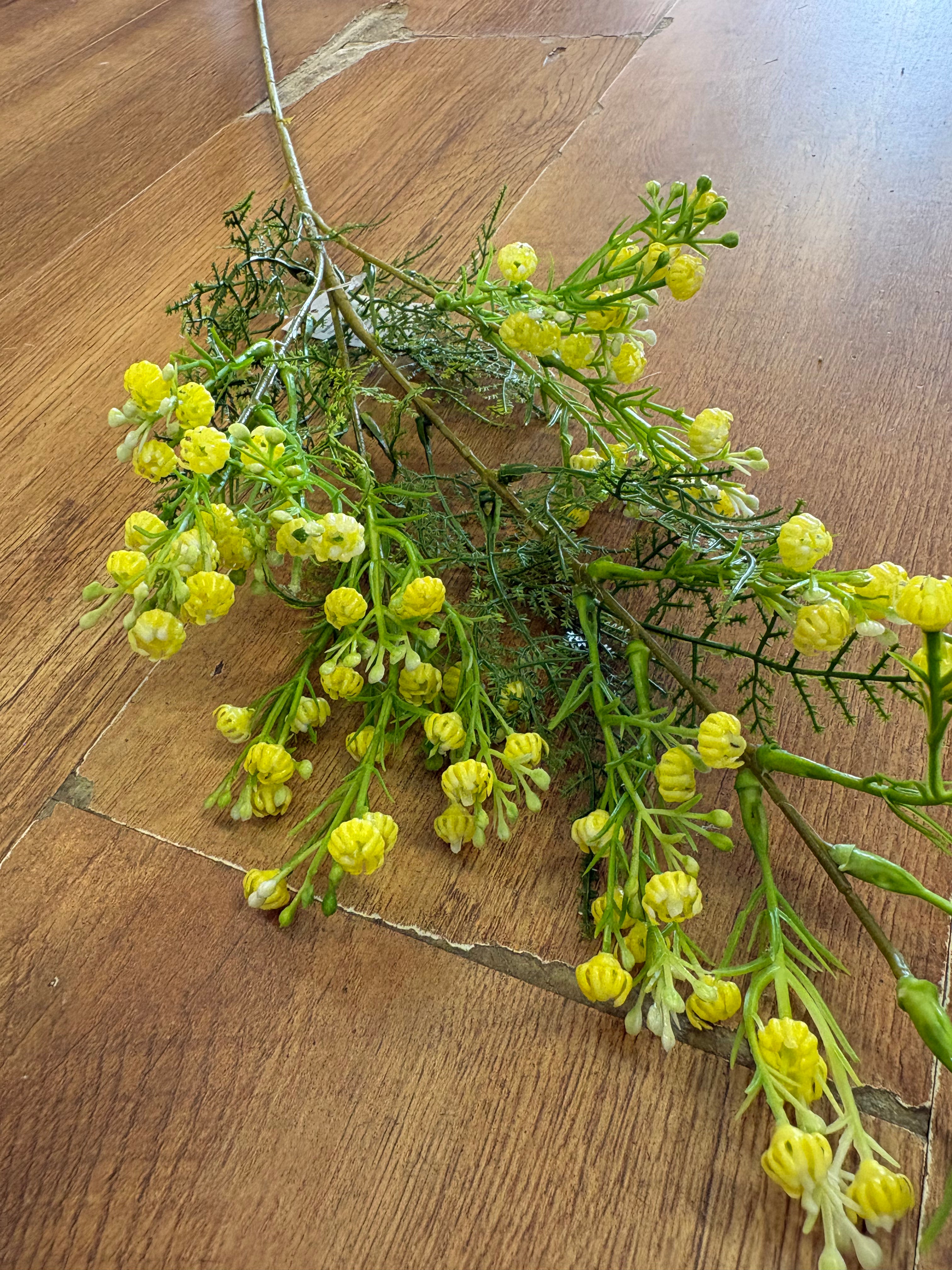 Long stem yellow gypsophila and fern stem