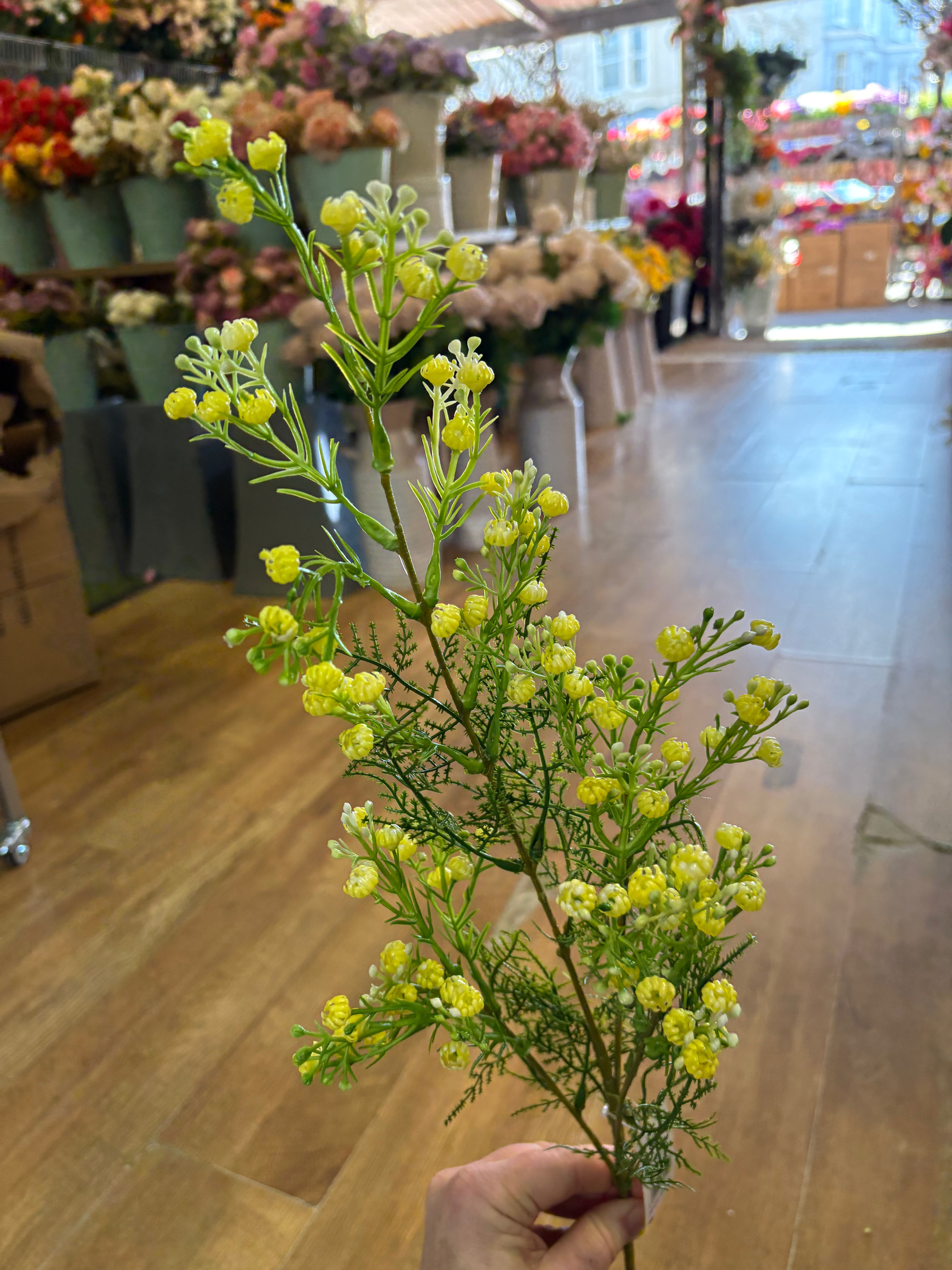 Long stem yellow gypsophila and fern stem
